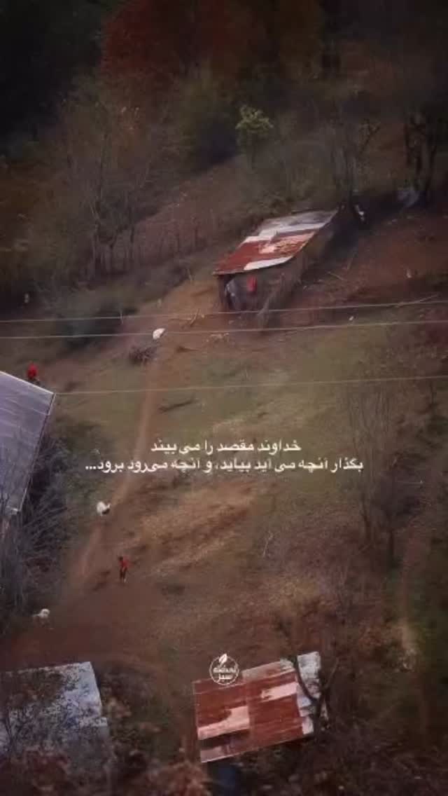 جدید ترین استوری اینستاگرام مرتضی تبریزی