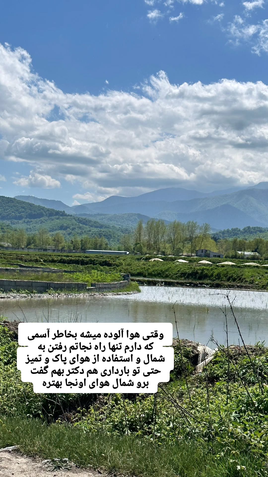  جدید ترین استوری اینستاگرام مروارید موجدی