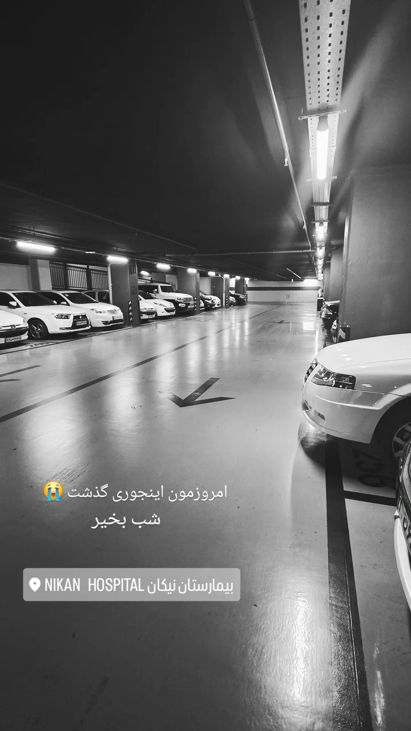  جدید ترین استوری اینستاگرام مروارید موجدی