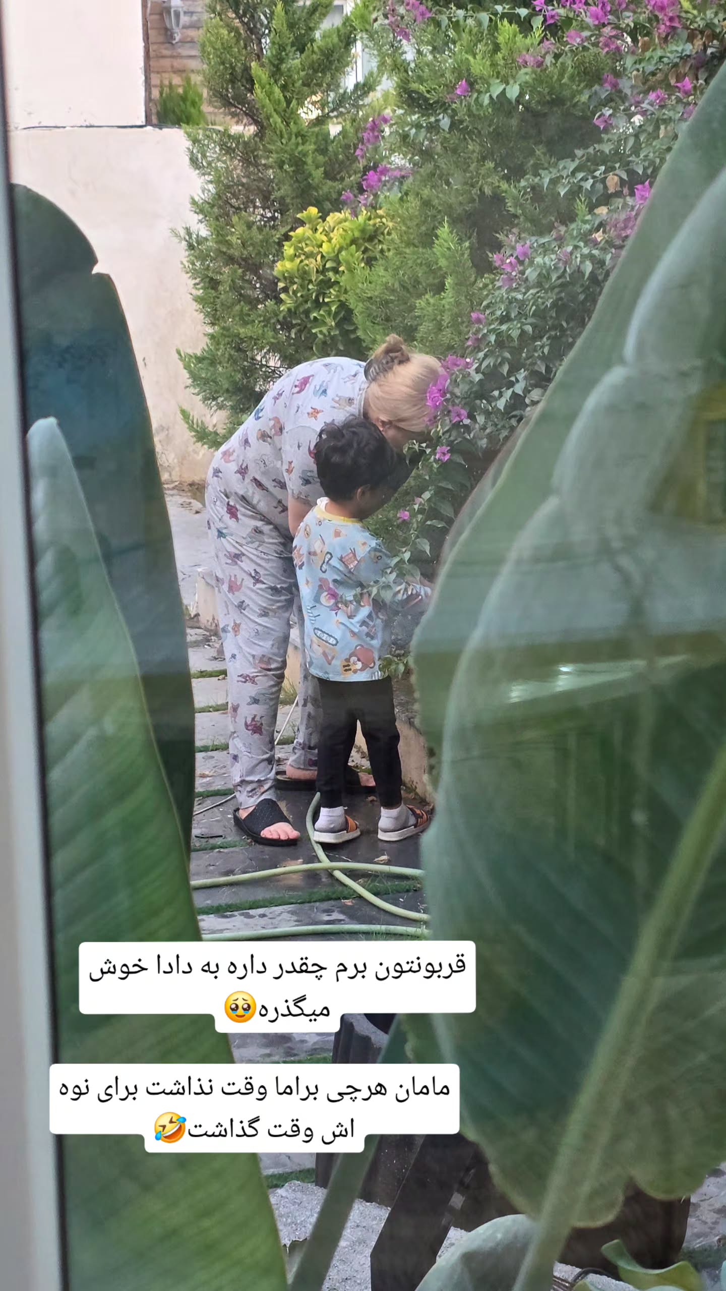  جدید ترین استوری اینستاگرام مروارید موجدی