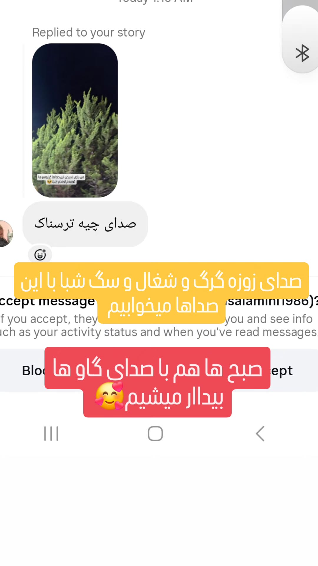  جدید ترین استوری اینستاگرام مروارید موجدی