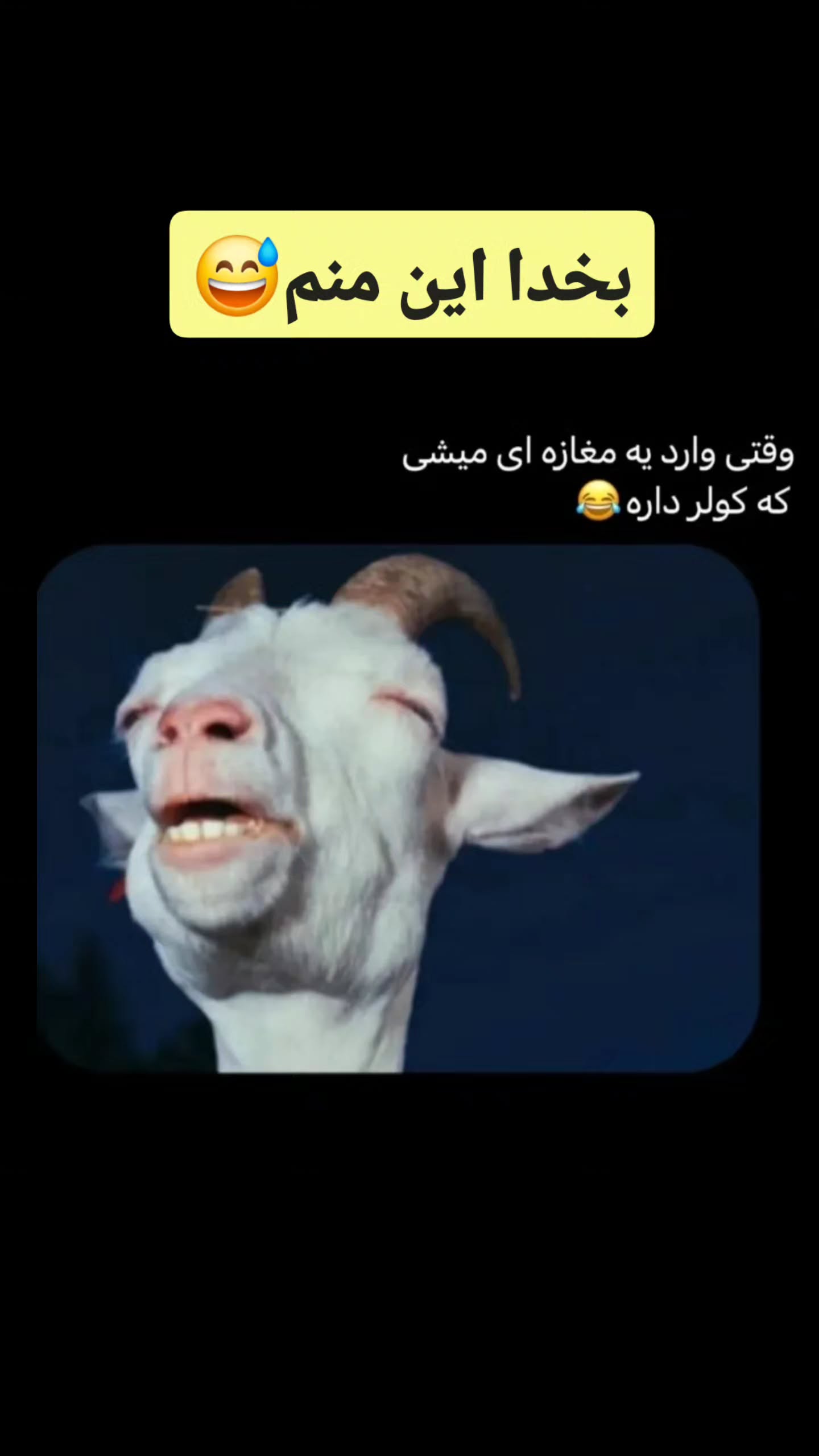  جدید ترین استوری اینستاگرام مصطفی احمدی