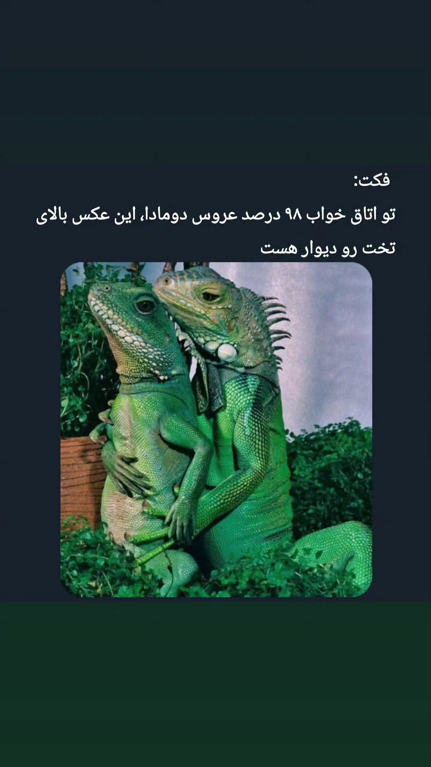  جدید ترین استوری اینستاگرام مصطفی احمدی