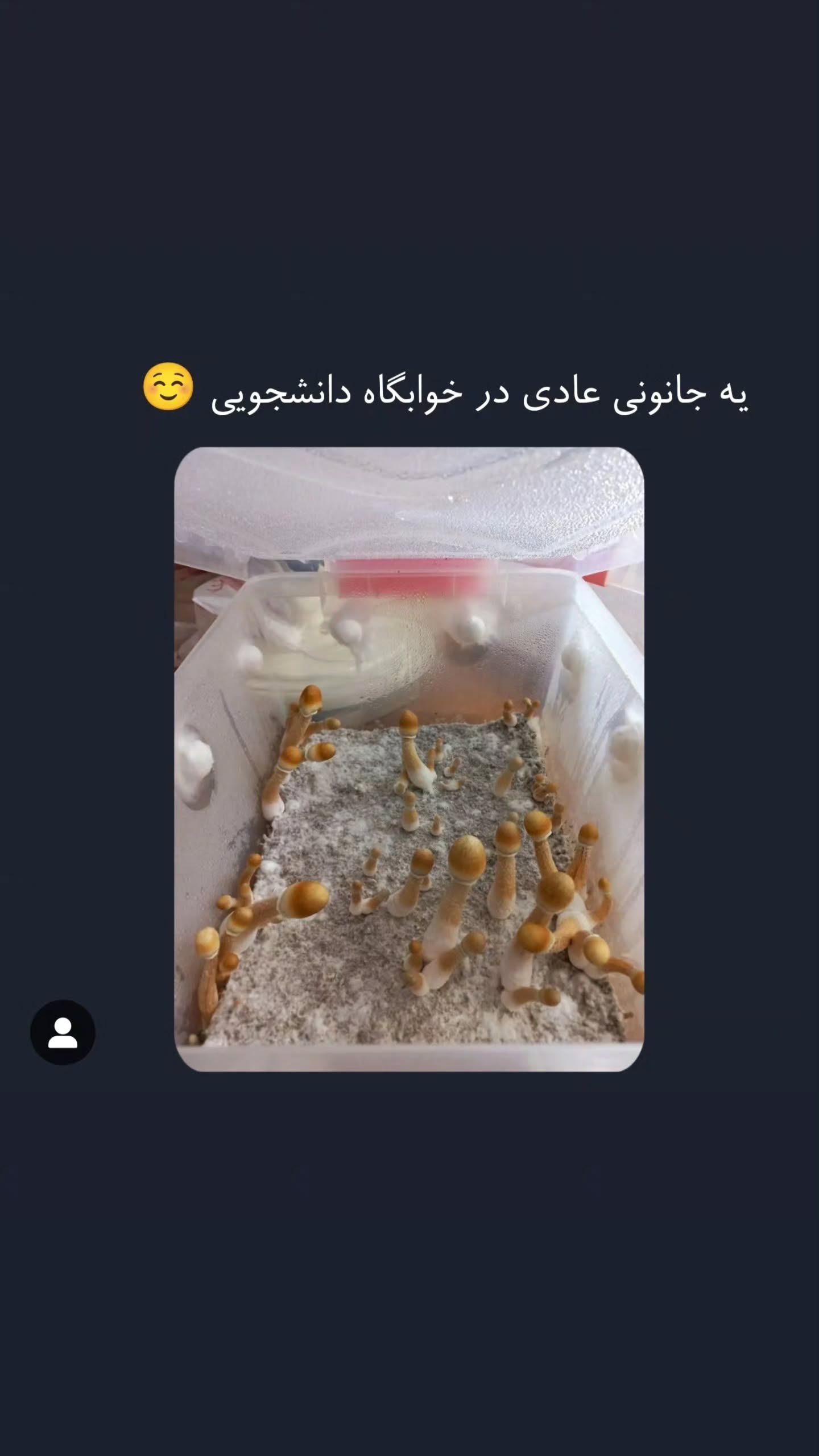  جدید ترین استوری اینستاگرام مصطفی احمدی