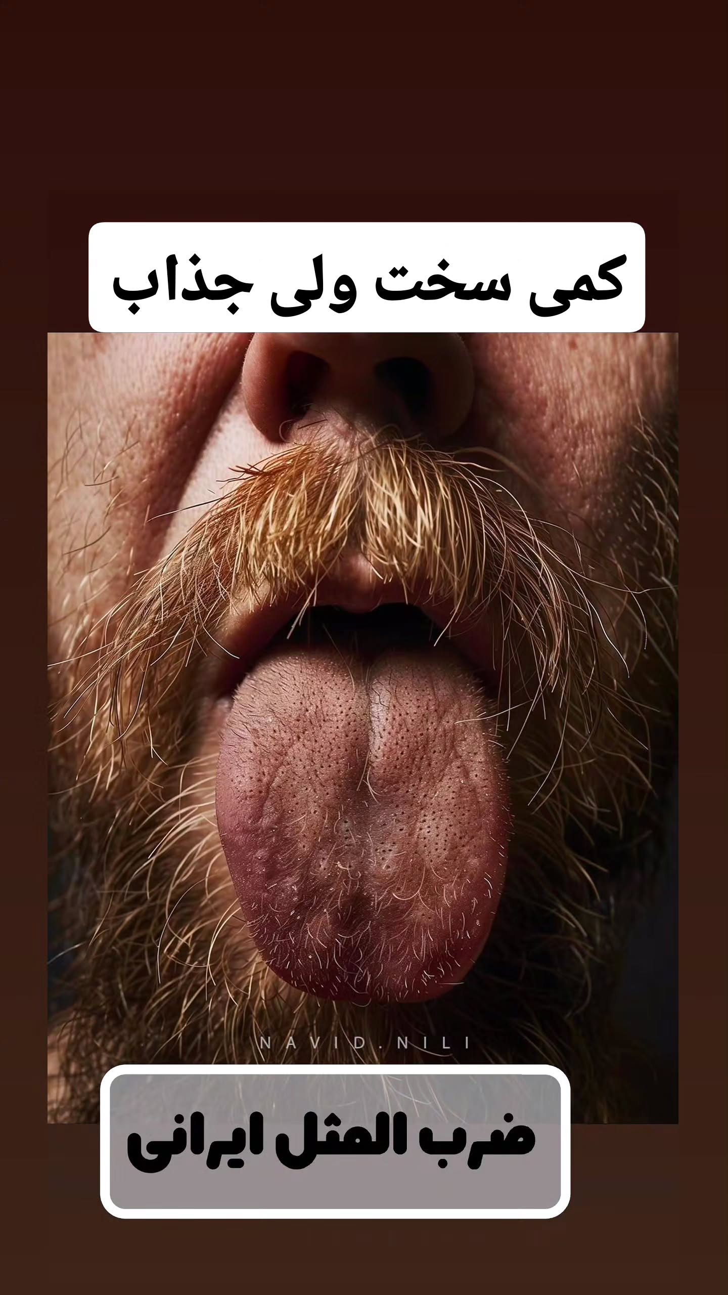  جدید ترین استوری اینستاگرام مصطفی احمدی