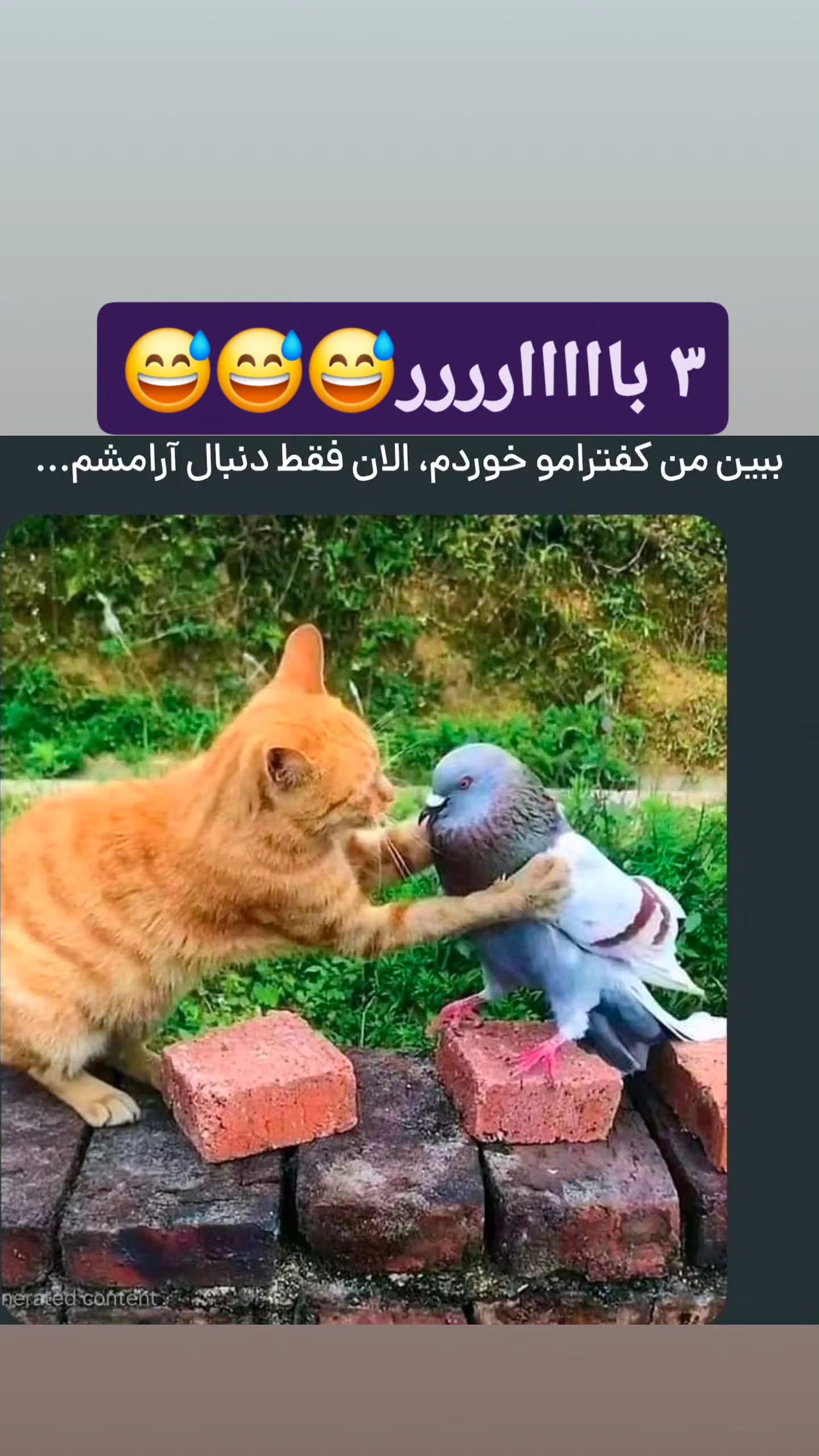  جدید ترین استوری اینستاگرام مصطفی احمدی