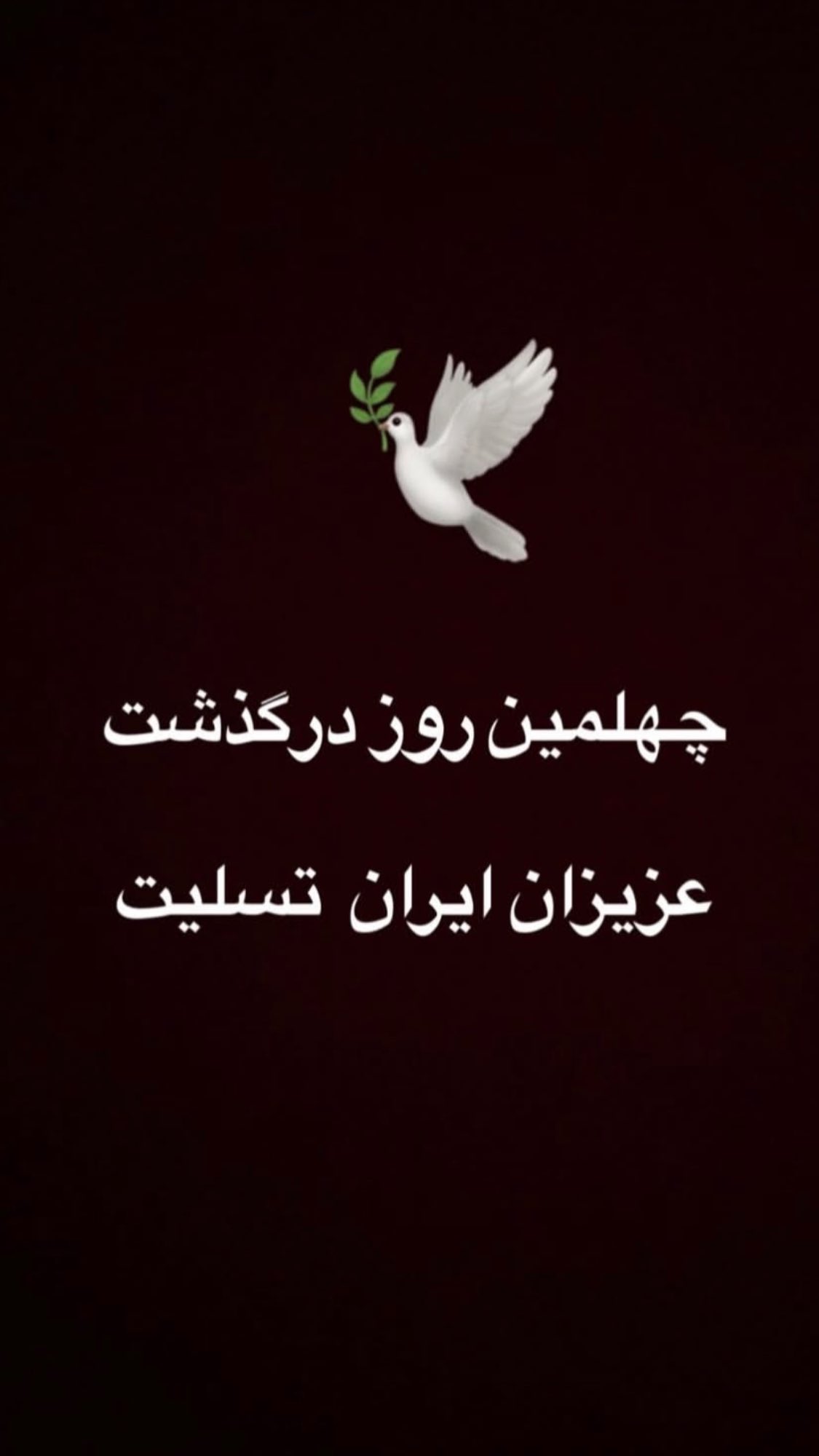  جدید ترین استوری اینستاگرام مصطفی شیدایی