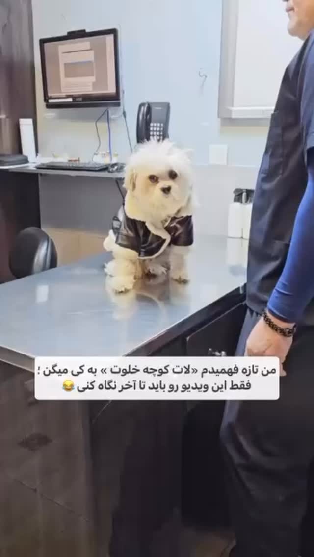  جدید ترین استوری اینستاگرام مصطفی قنبری