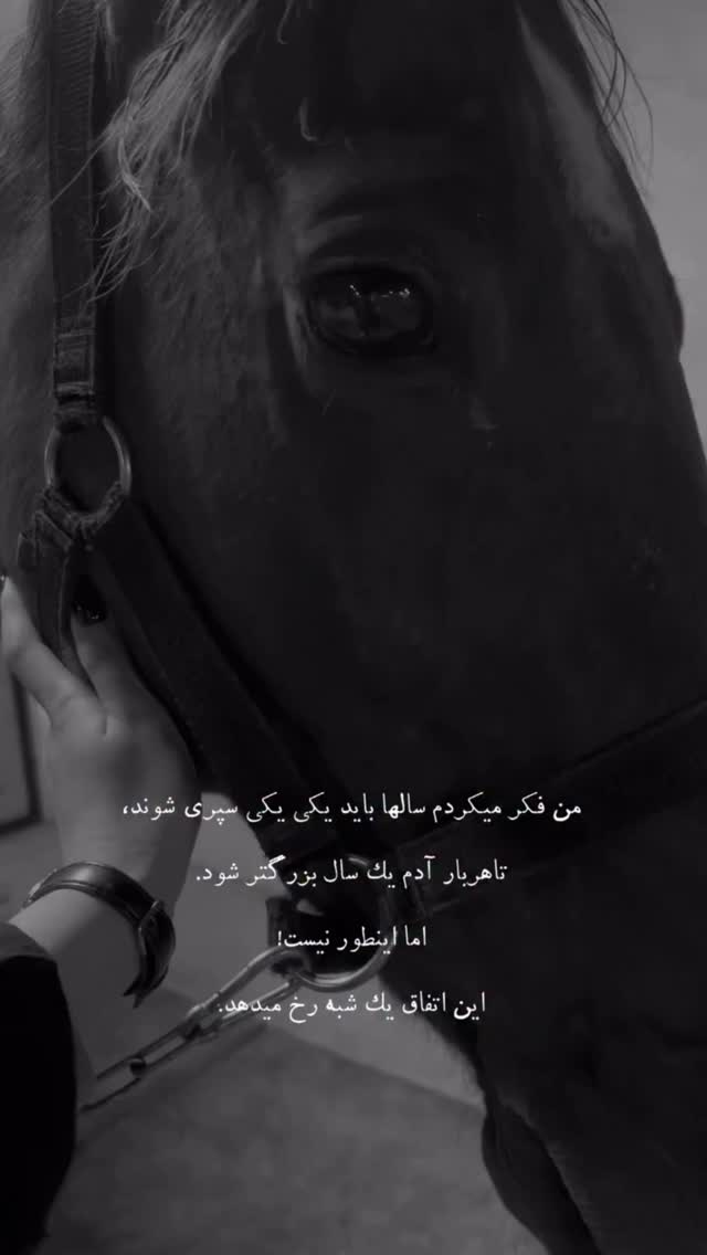  جدید ترین استوری اینستاگرام مصطفی قنبری