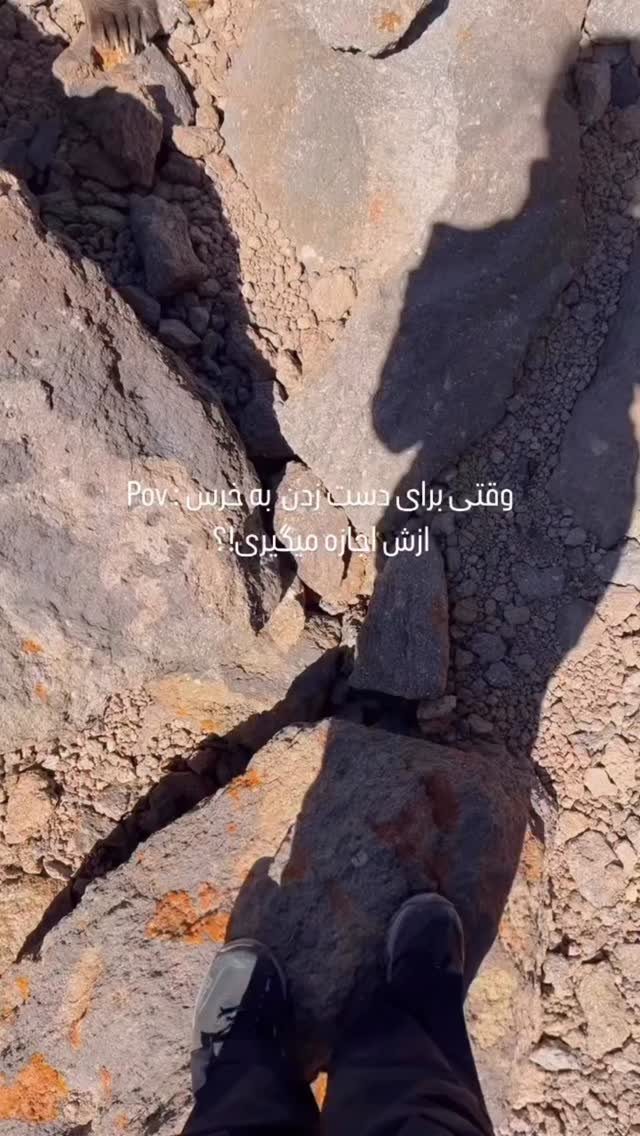  جدید ترین استوری اینستاگرام مصطفی قنبری