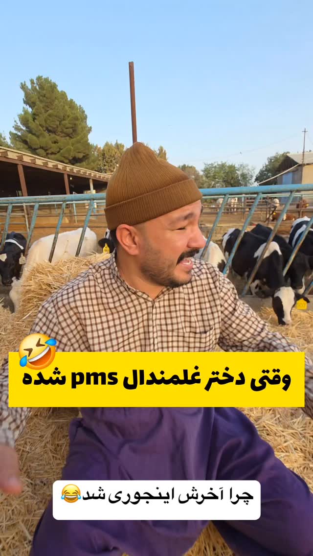  جدید ترین استوری اینستاگرام مصطفی قنبری