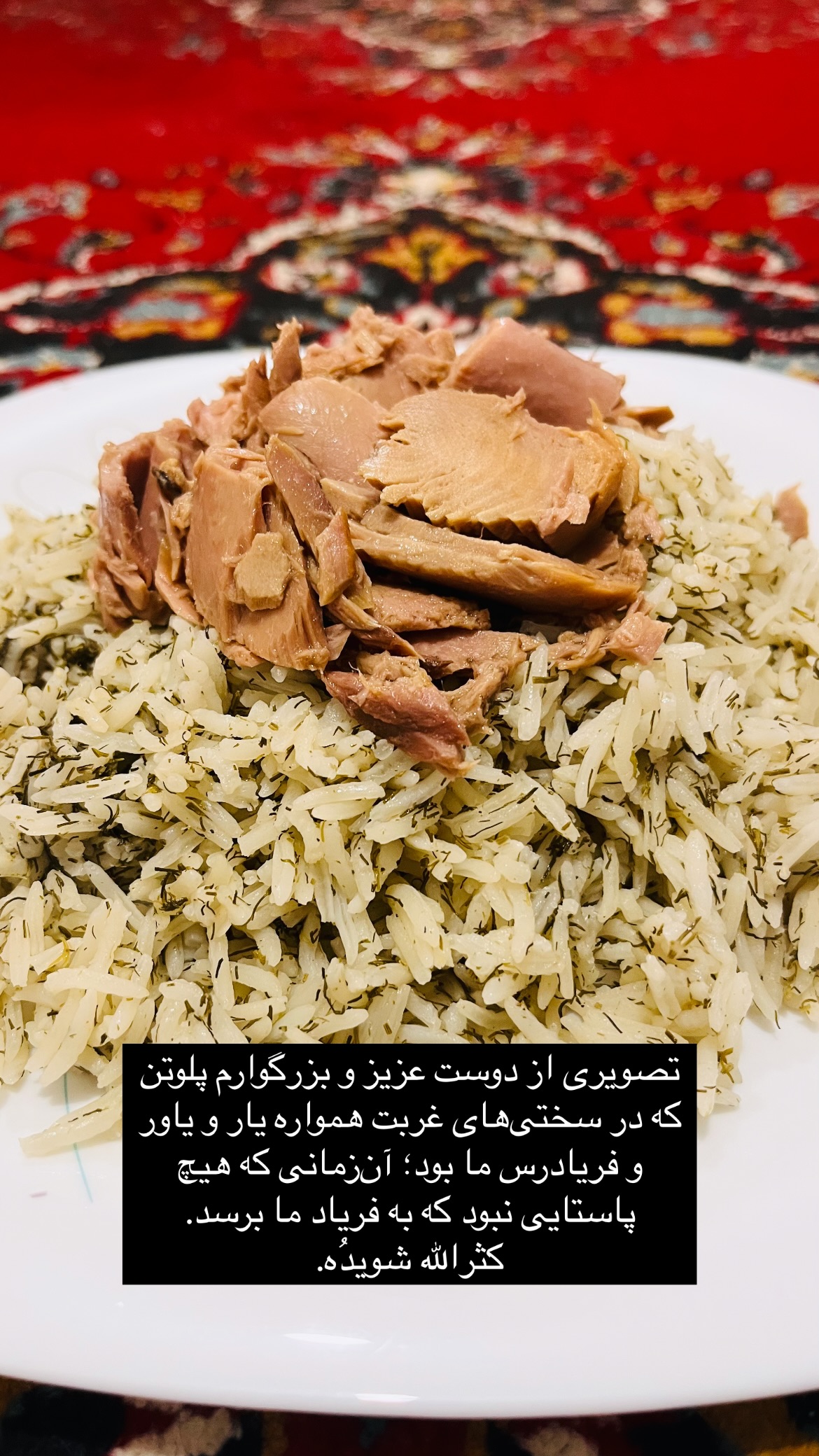  جدید ترین استوری اینستاگرام mostafasahebiofficial