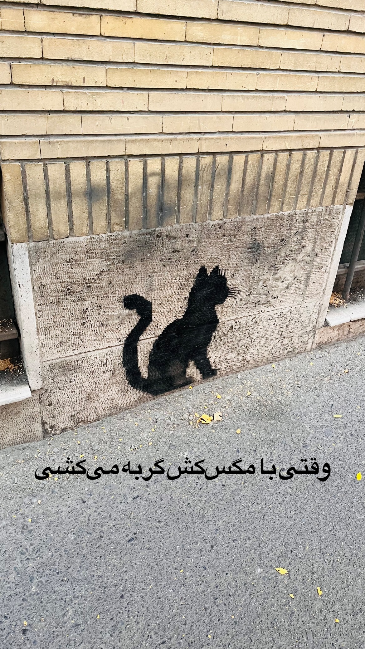  جدید ترین استوری اینستاگرام mostafasahebiofficial
