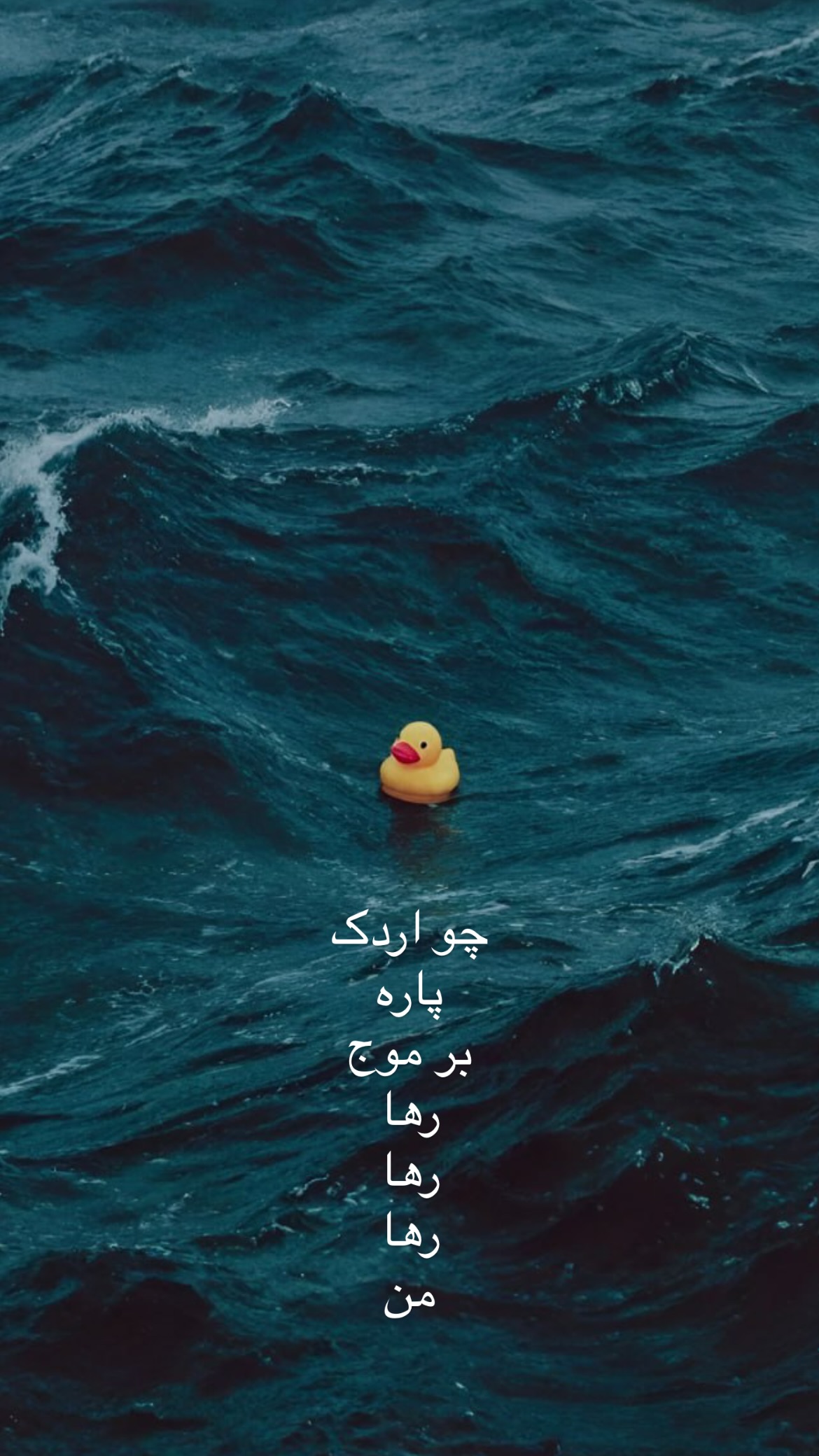  جدید ترین استوری اینستاگرام mostafasahebiofficial