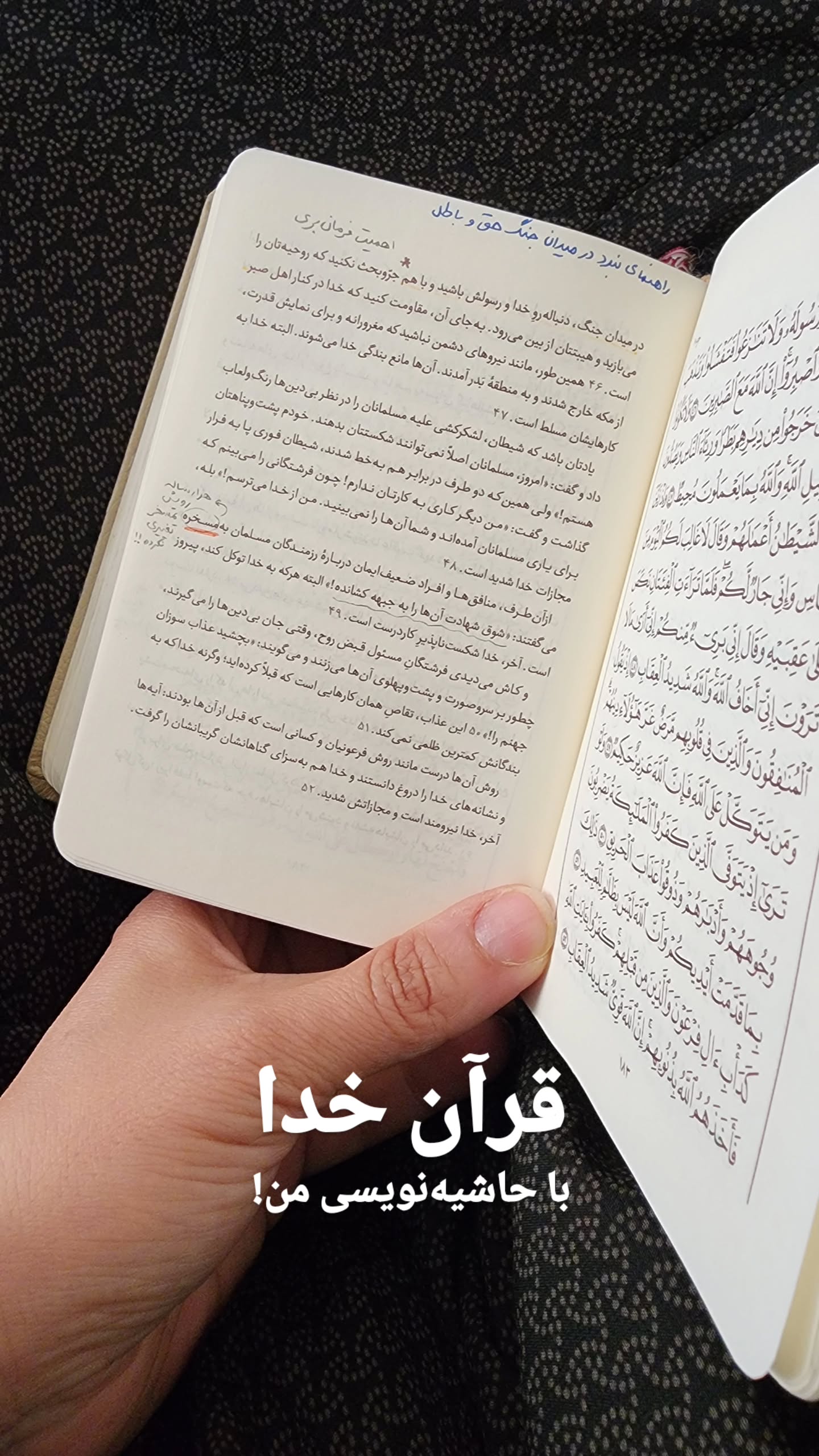  جدید ترین استوری اینستاگرام منصوره مصطفی زاده