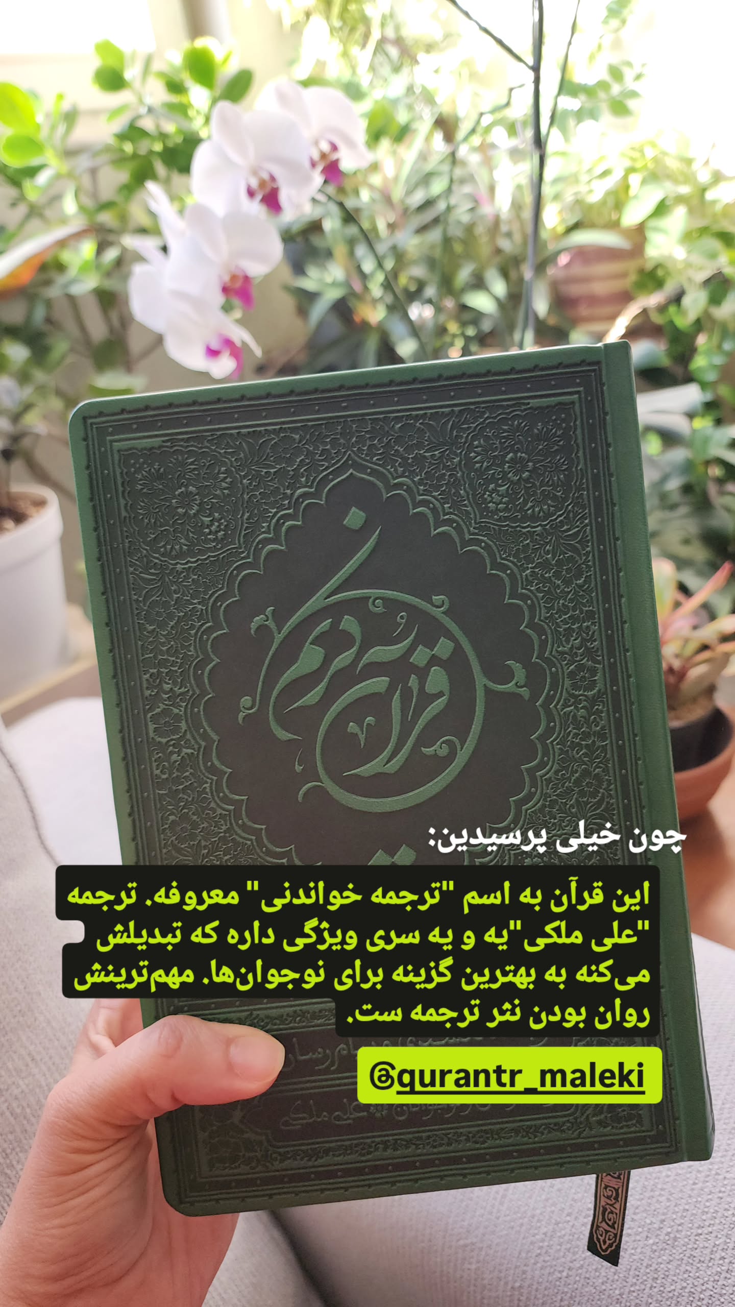  جدید ترین استوری اینستاگرام منصوره مصطفی زاده