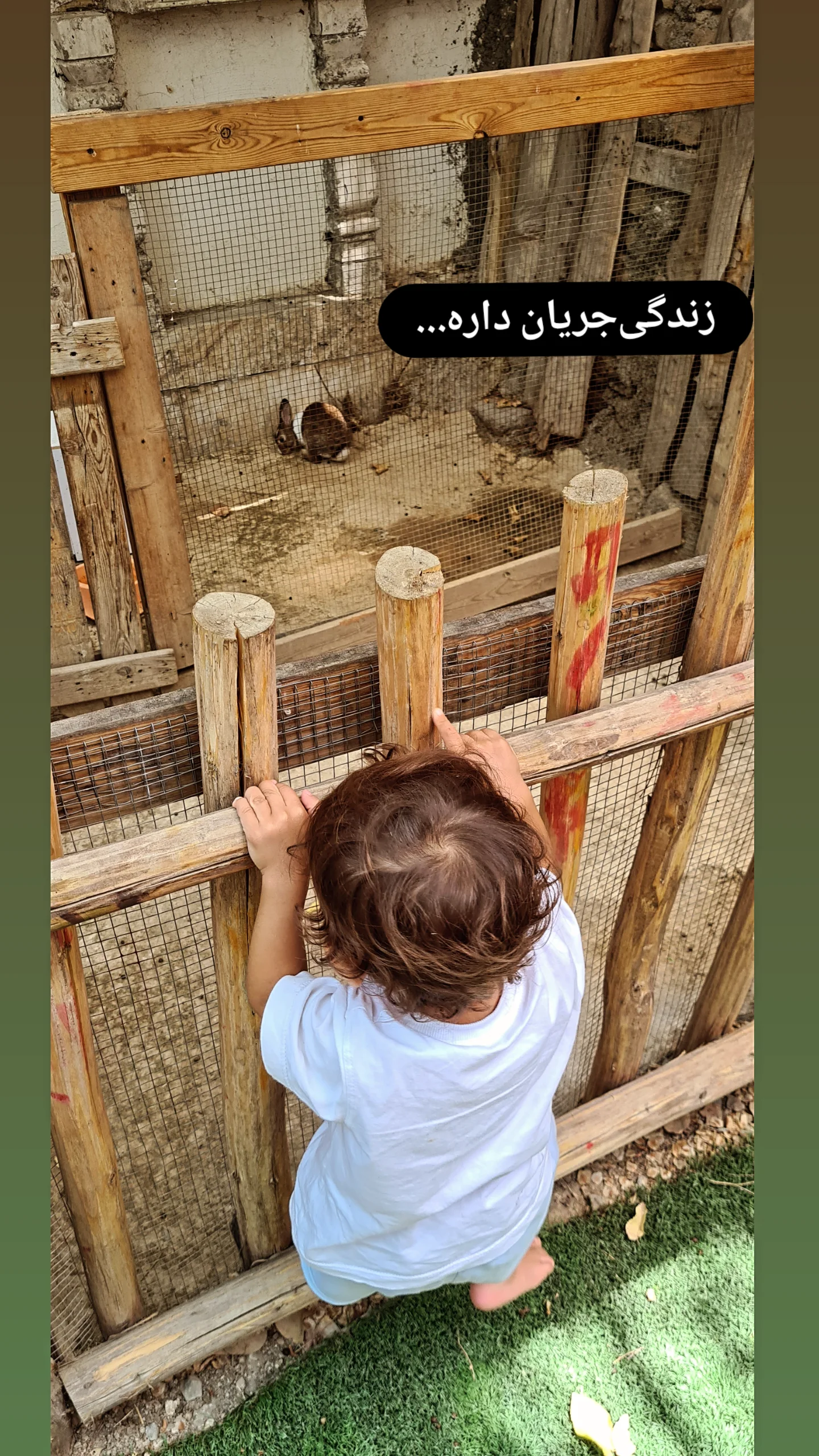  جدید ترین استوری اینستاگرام مژده خنجری