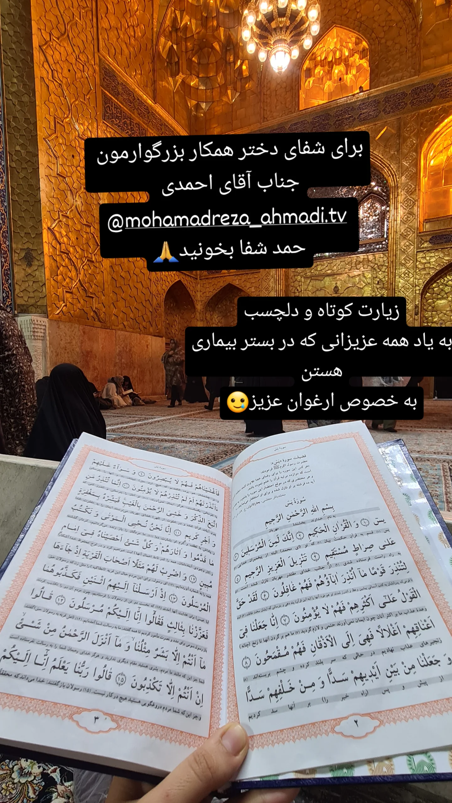  جدید ترین استوری اینستاگرام مژده خنجری