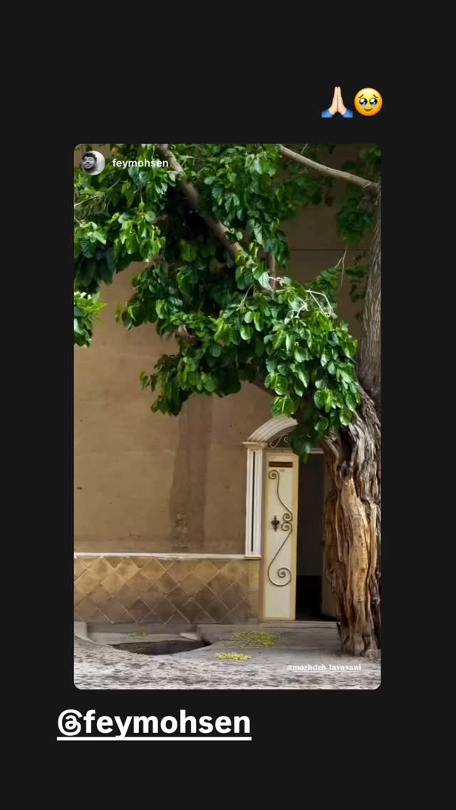  جدید ترین استوری اینستاگرام مژده لواسانی