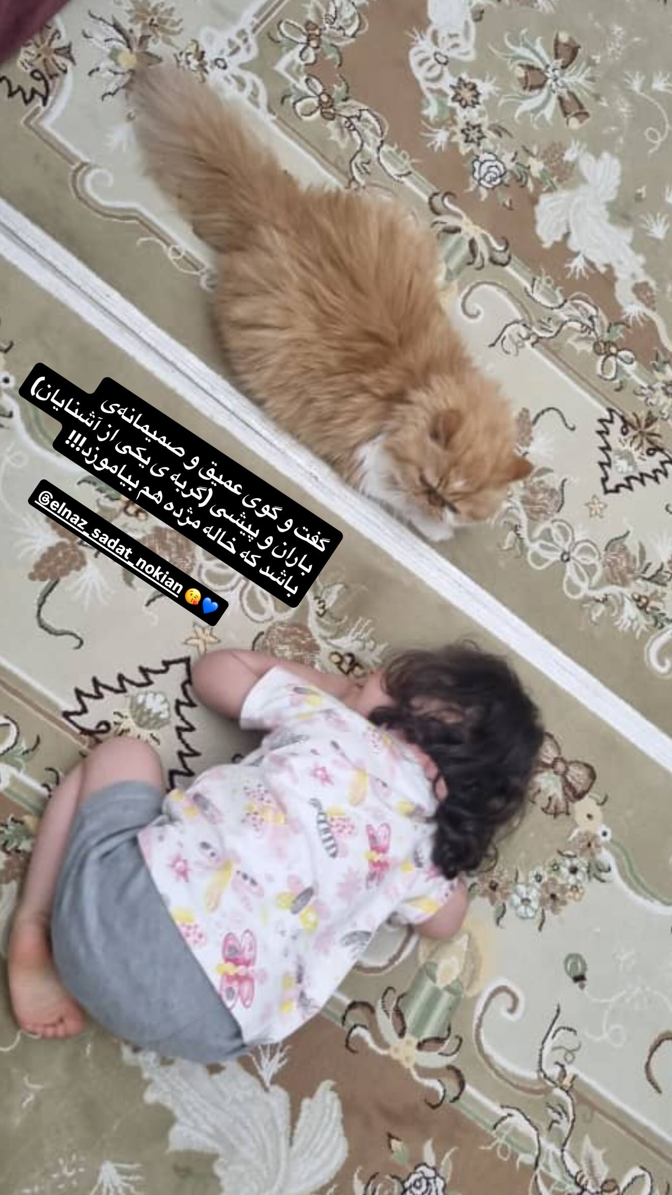  جدید ترین استوری اینستاگرام مژده لواسانی