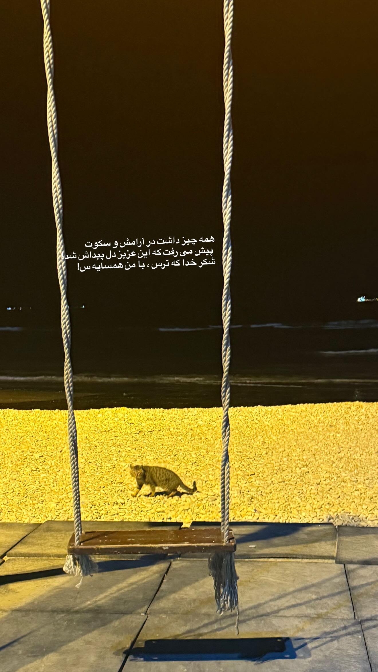  جدید ترین استوری اینستاگرام مژده لواسانی