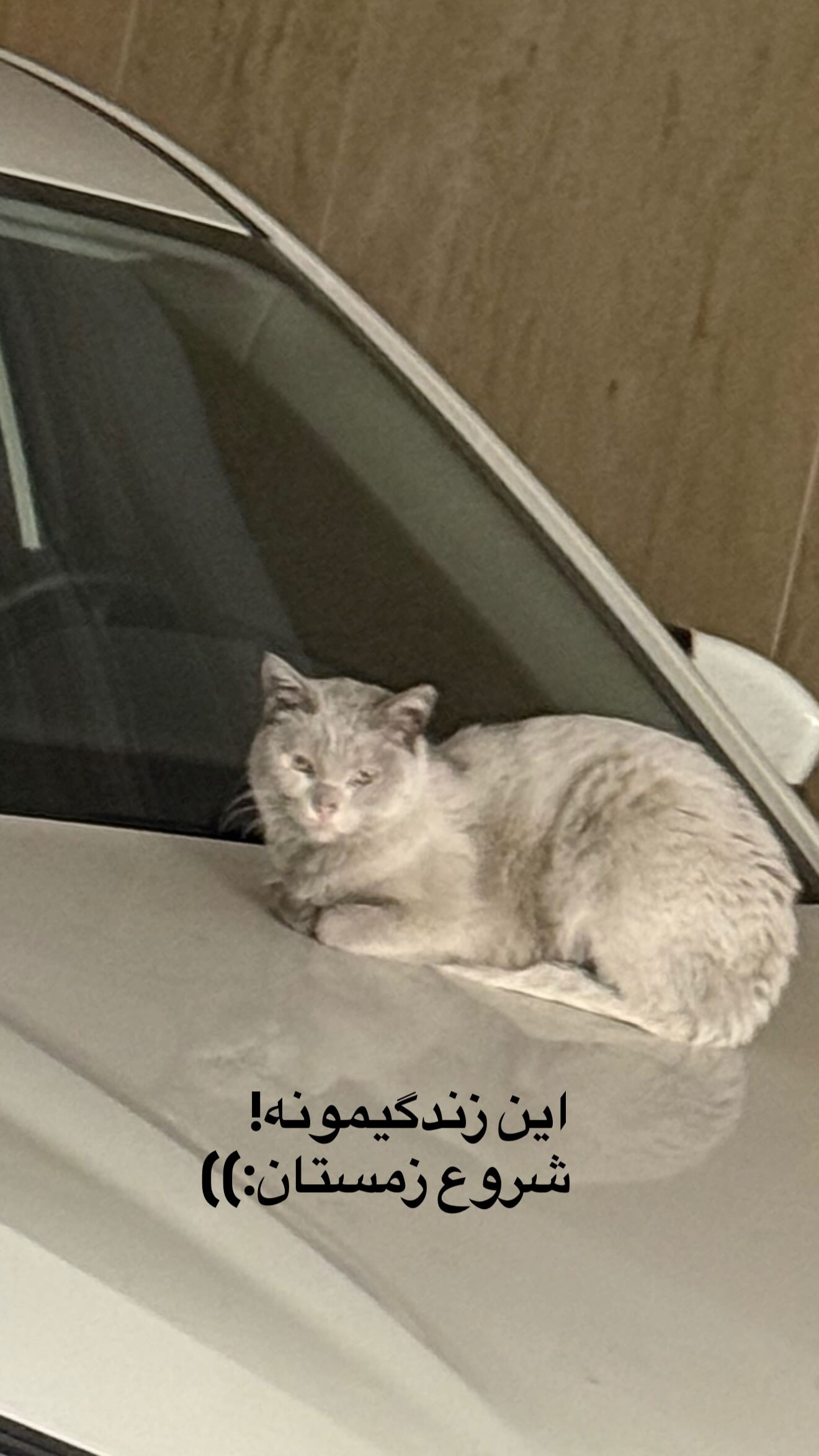  جدید ترین استوری اینستاگرام مژده لواسانی