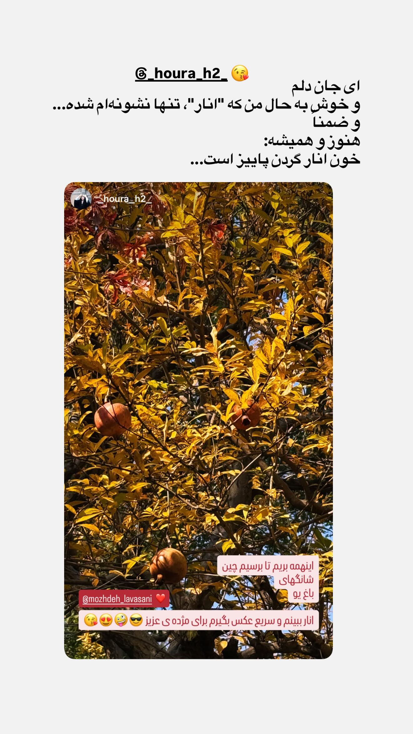  جدید ترین استوری اینستاگرام مژده لواسانی
