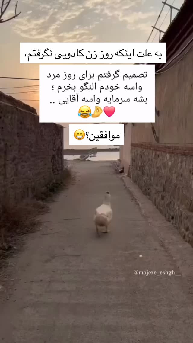  جدید ترین استوری اینستاگرام مژگان شکوری