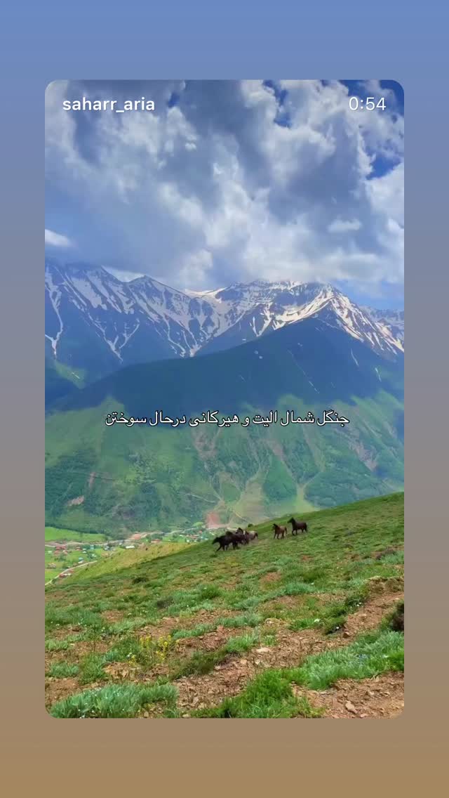  جدید ترین استوری اینستاگرام محمد رضا شمس