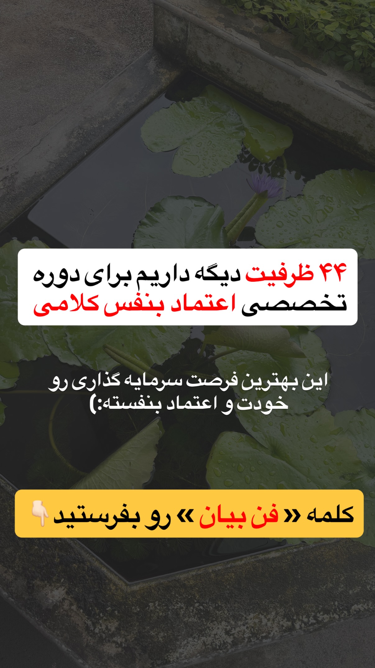 جدید ترین استوری اینستاگرام مستر ویس