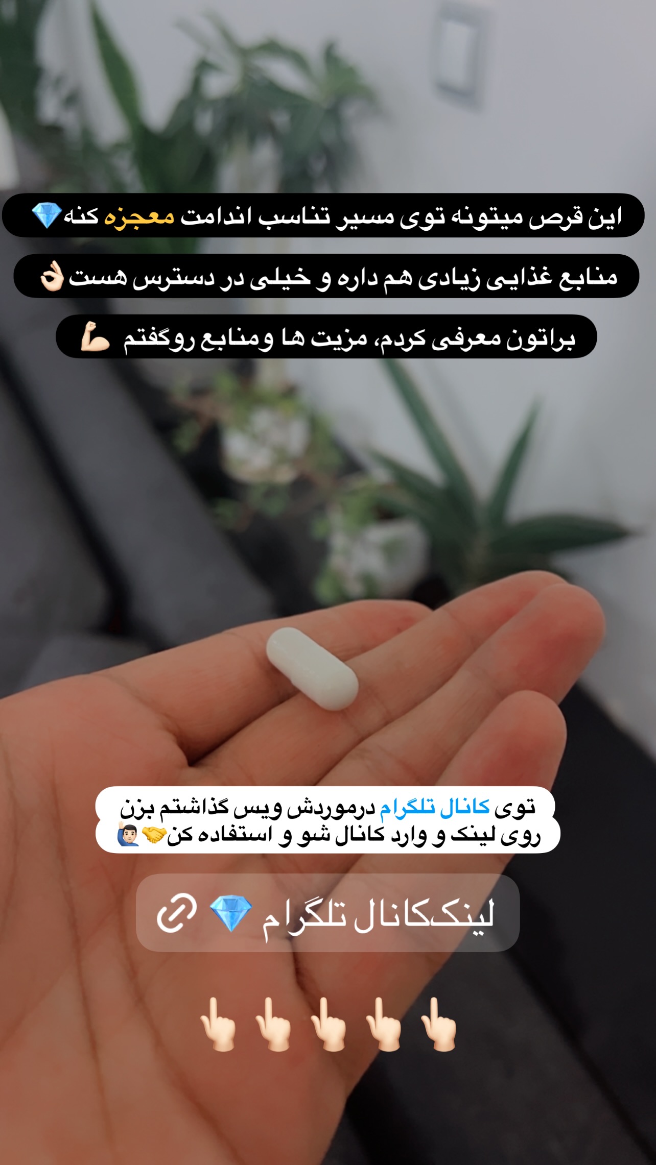  جدید ترین استوری اینستاگرام مجید توکلیان