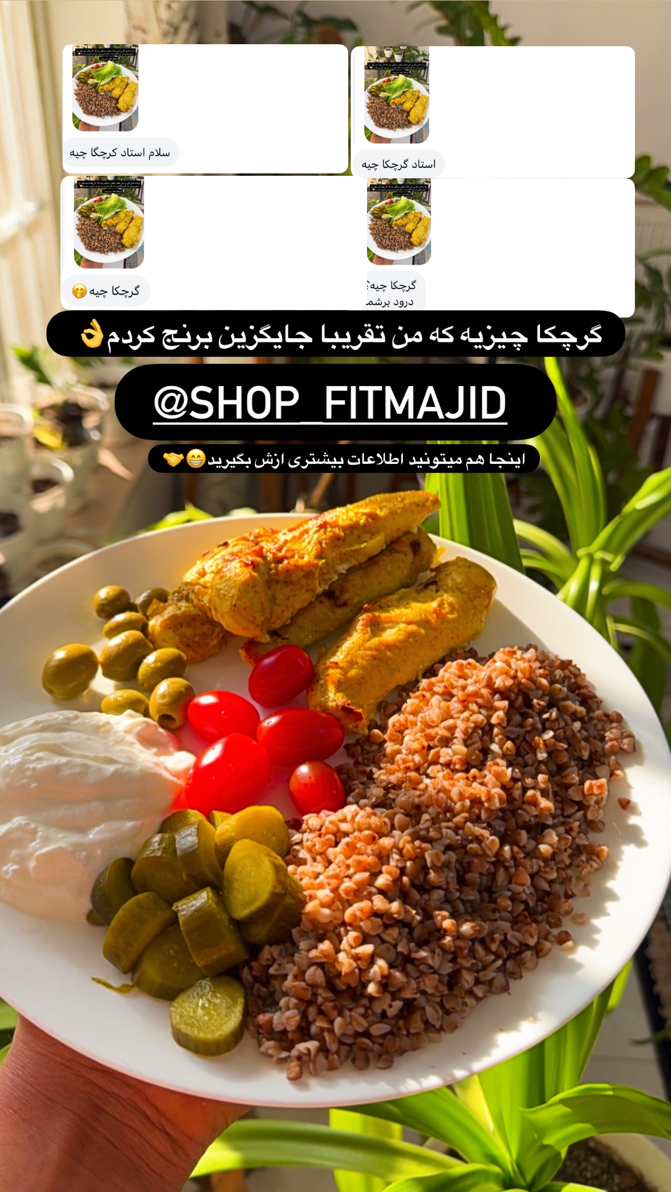  جدید ترین استوری اینستاگرام مجید توکلیان