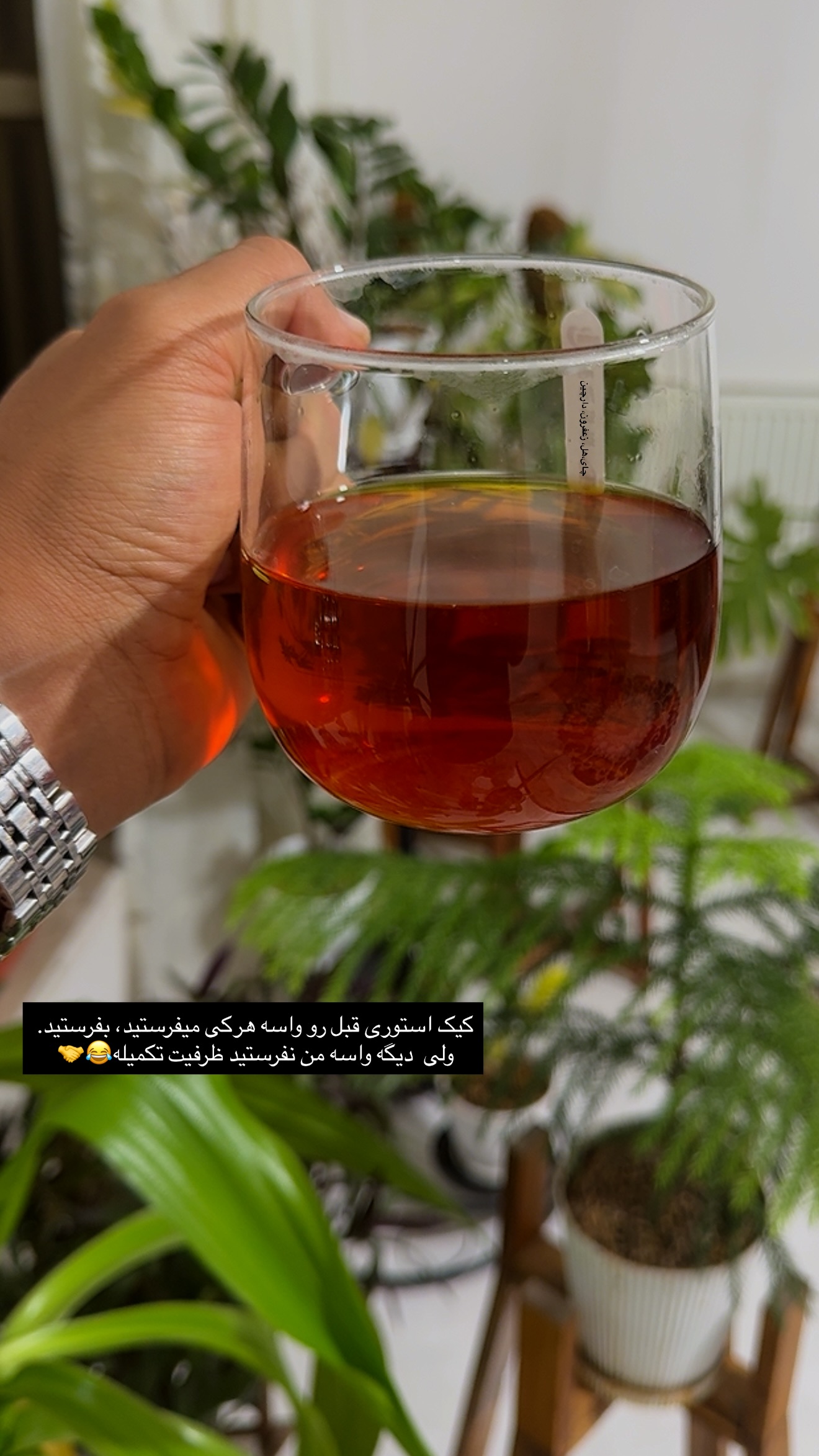  جدید ترین استوری اینستاگرام مجید توکلیان