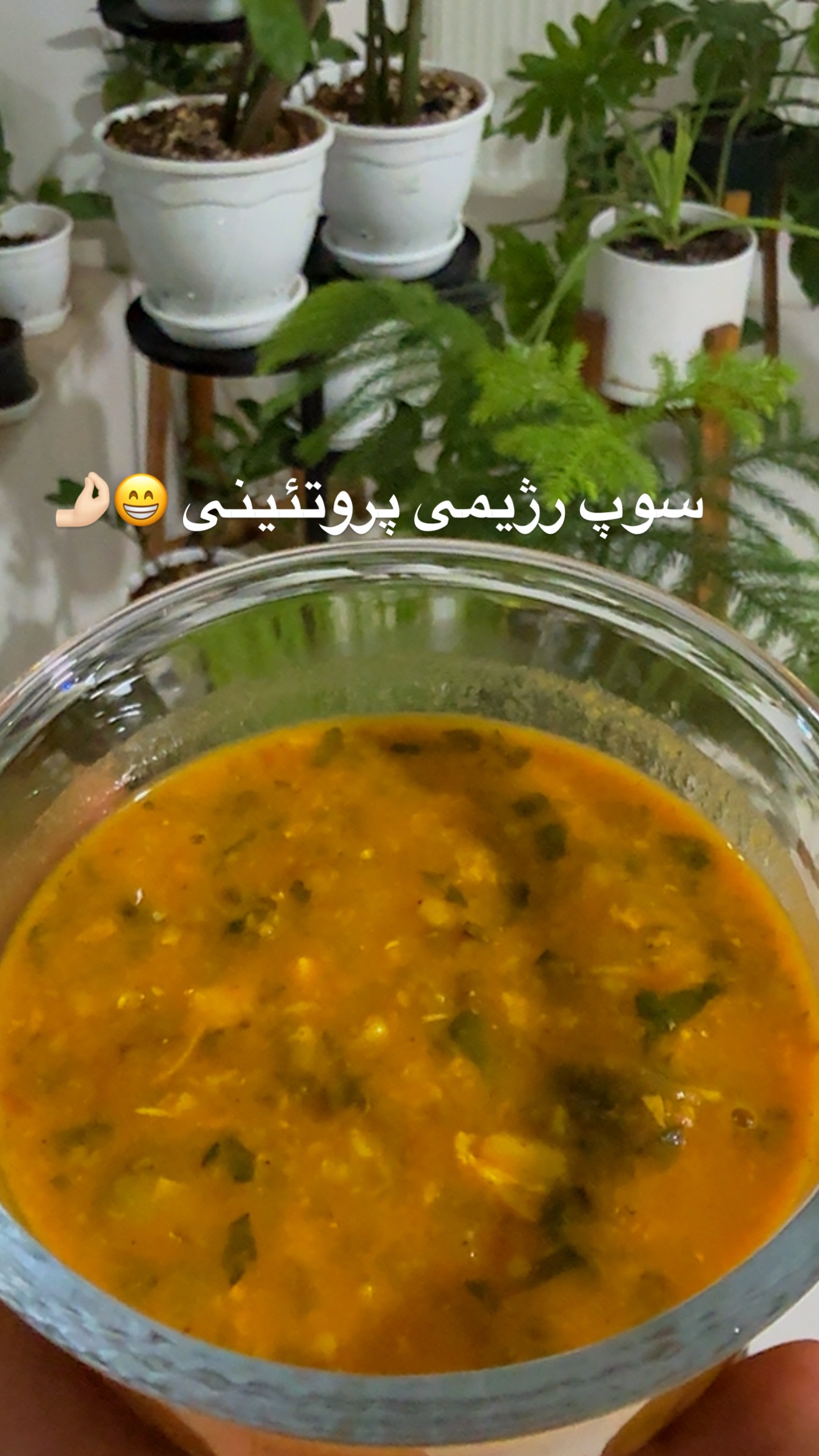  جدید ترین استوری اینستاگرام مجید توکلیان