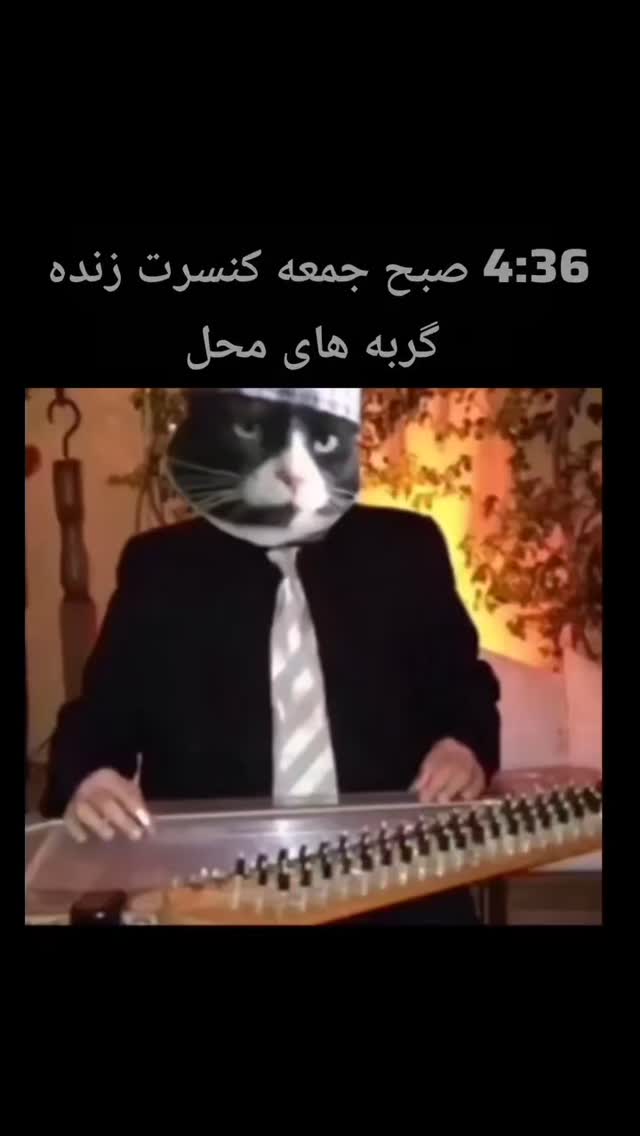  جدید ترین استوری اینستاگرام مستر نز