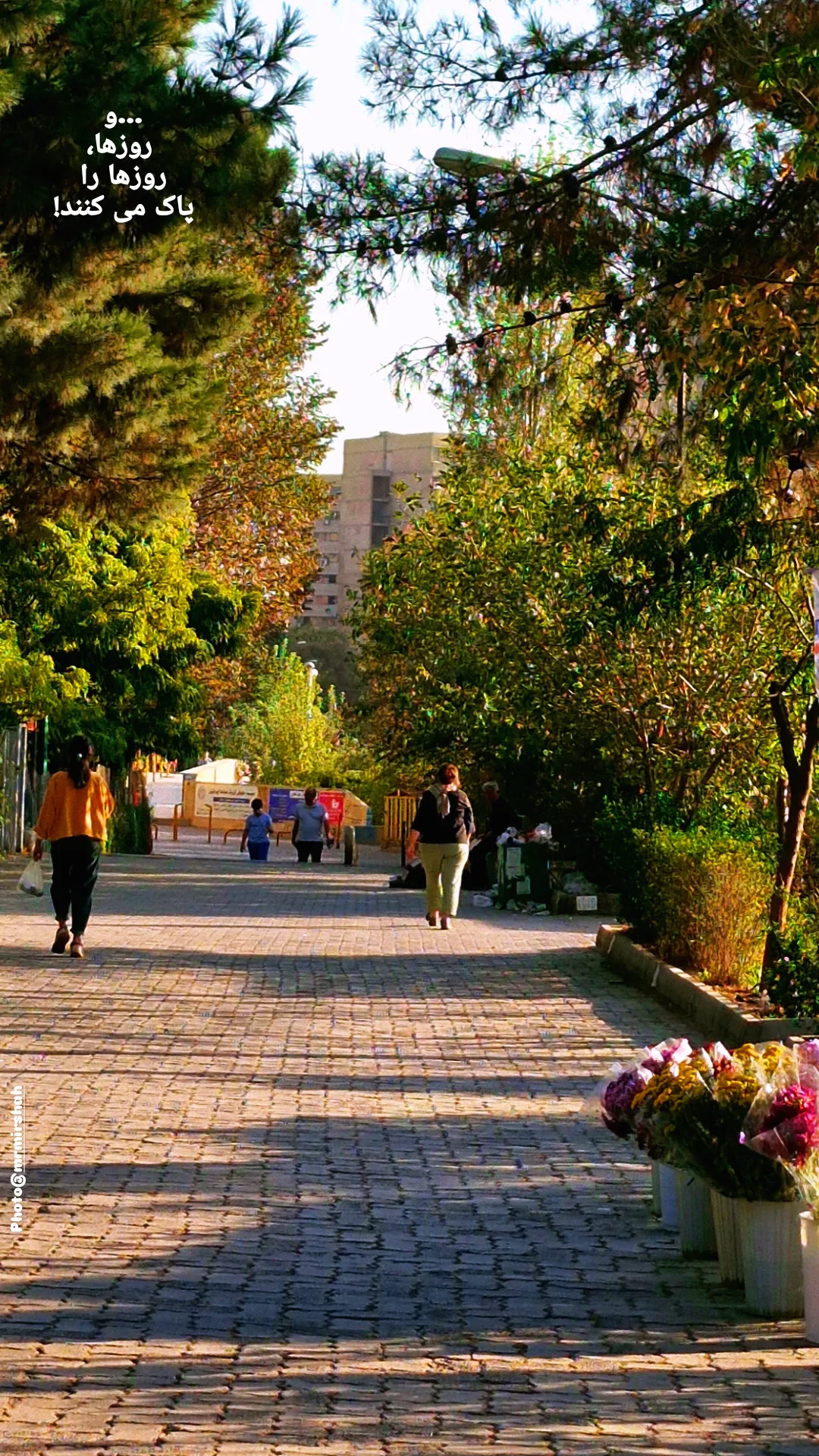  جدید ترین استوری اینستاگرام محمد رضا میرشاه ولد