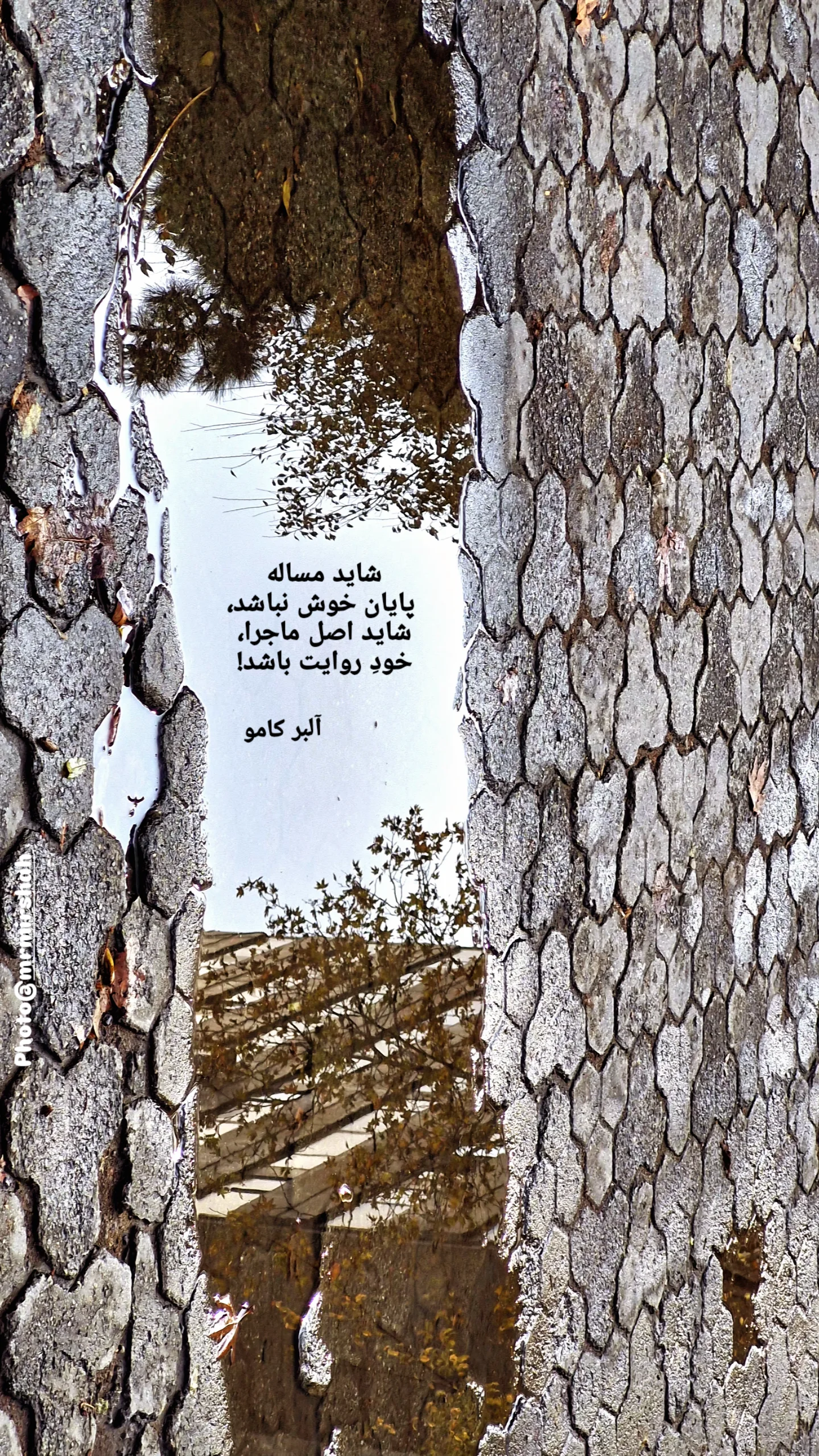 جدید ترین استوری اینستاگرام محمد رضا میرشاه ولد