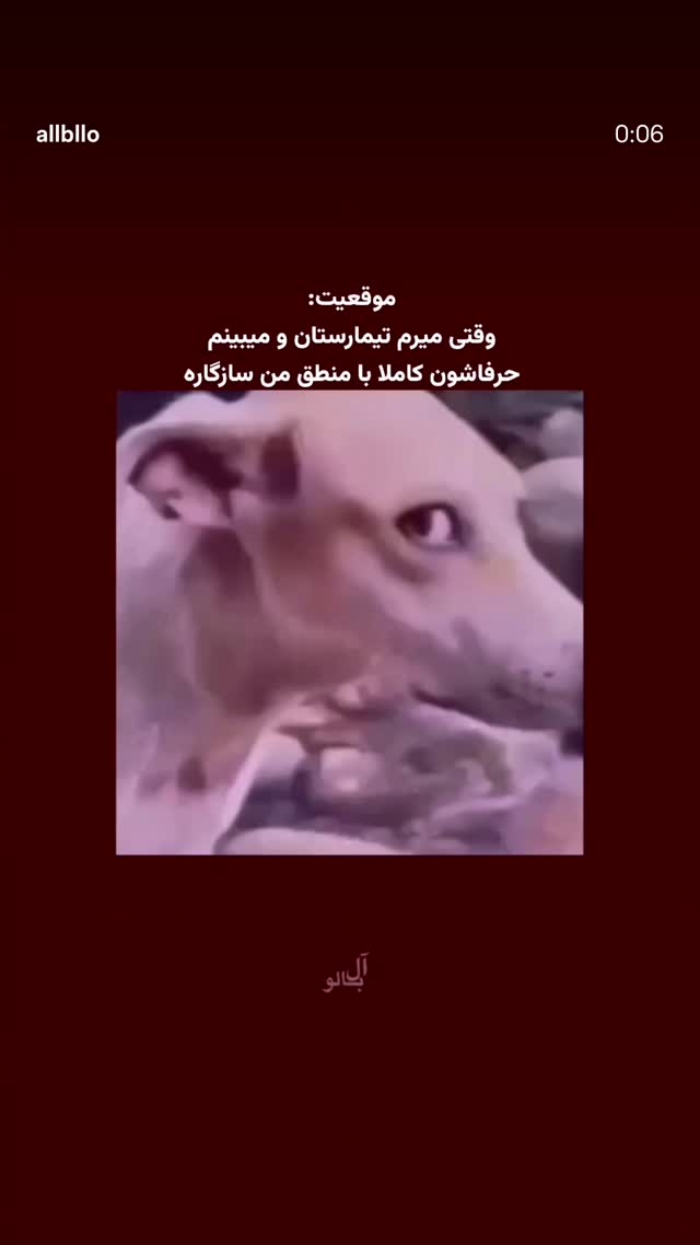 جدید ترین استوری اینستاگرام مریم کریمیان