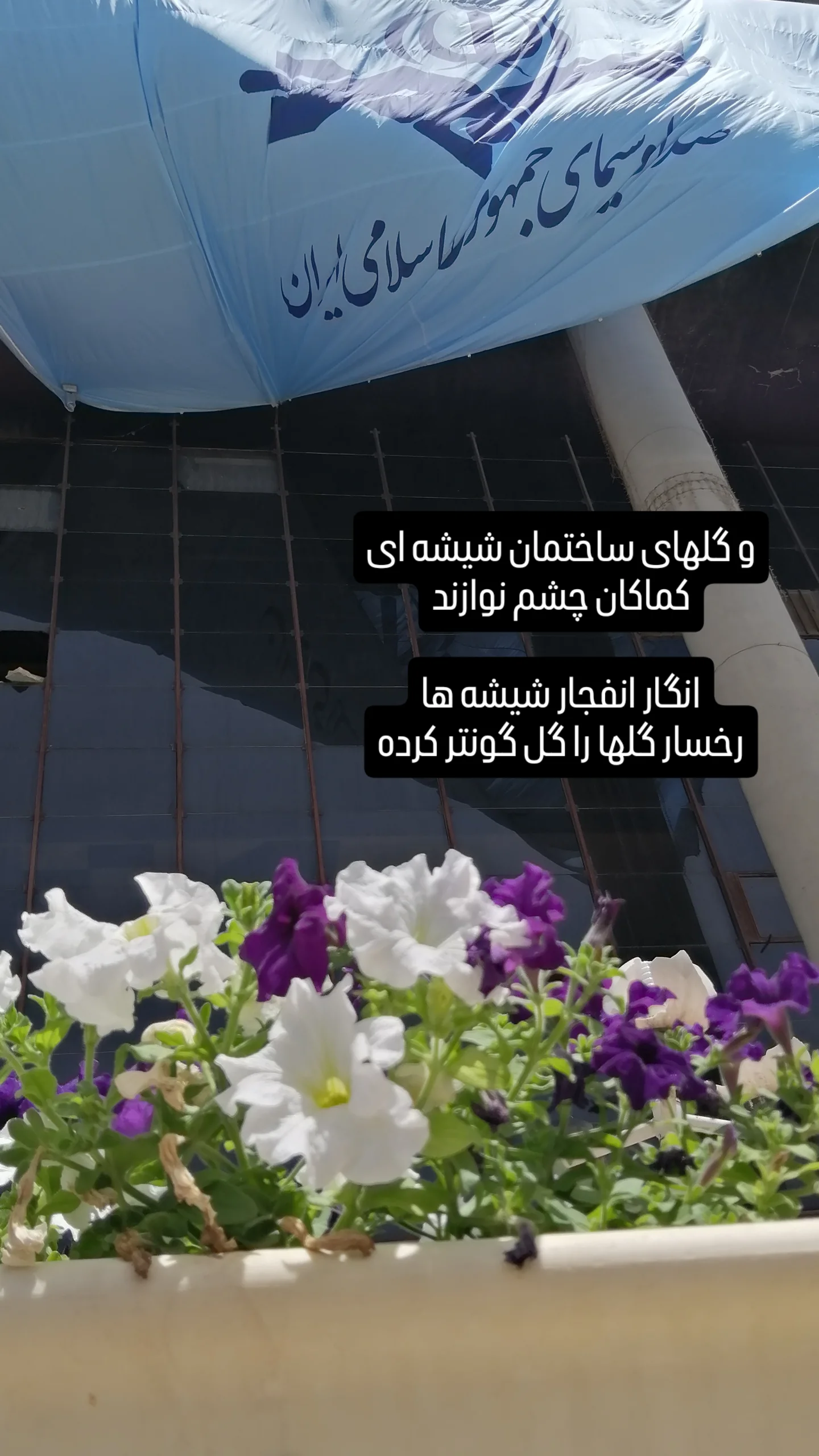  جدید ترین استوری اینستاگرام محمدصادق باطنی