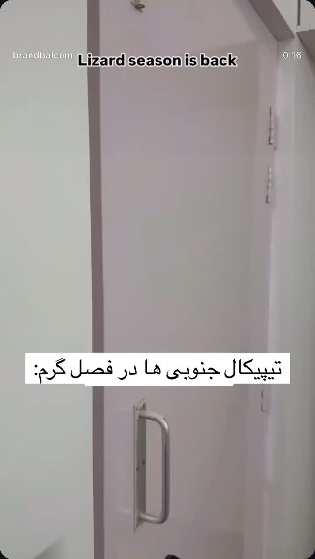  جدید ترین استوری اینستاگرام نيره سادات ميرخليلى