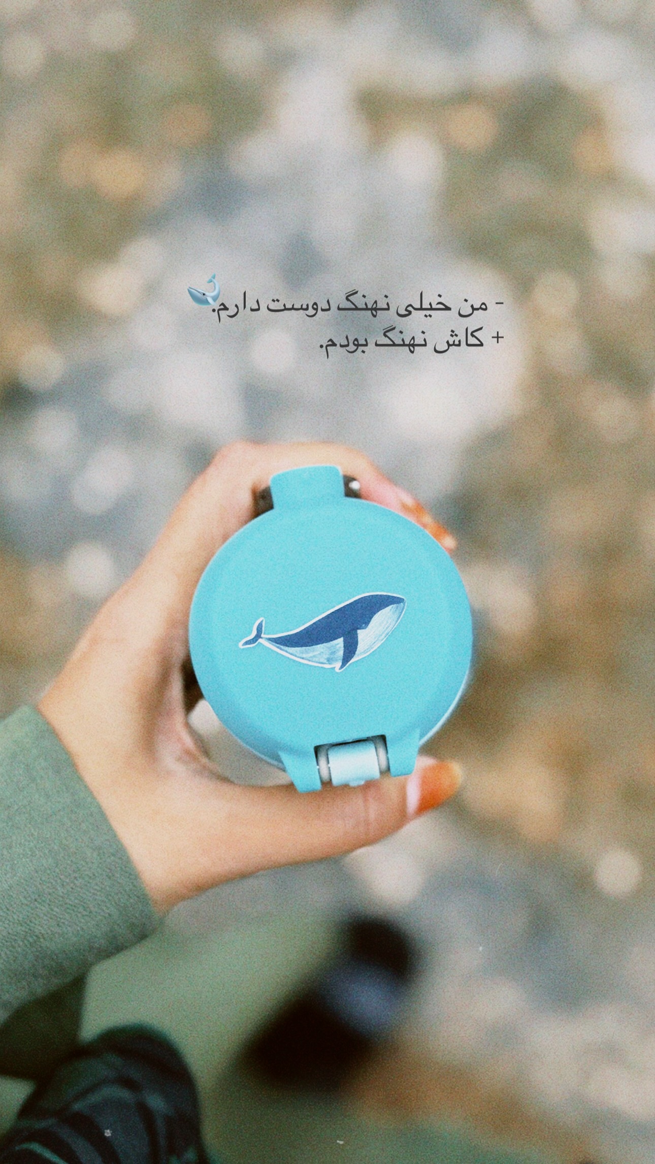  جدید ترین استوری اینستاگرام نيره سادات ميرخليلى