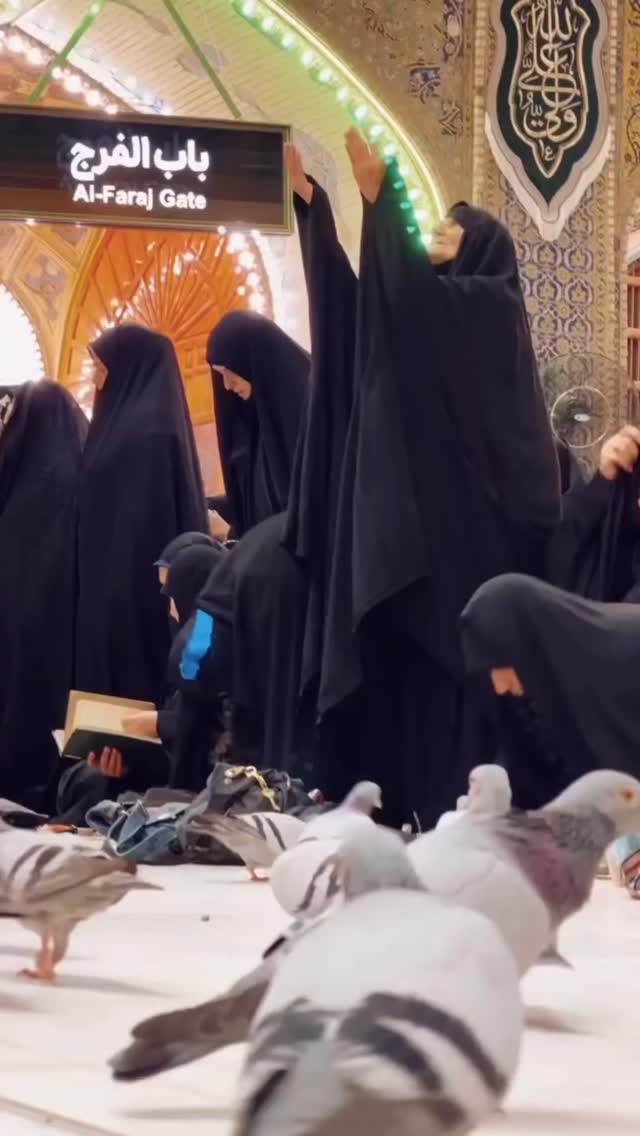  جدید ترین استوری اینستاگرام نيره سادات ميرخليلى