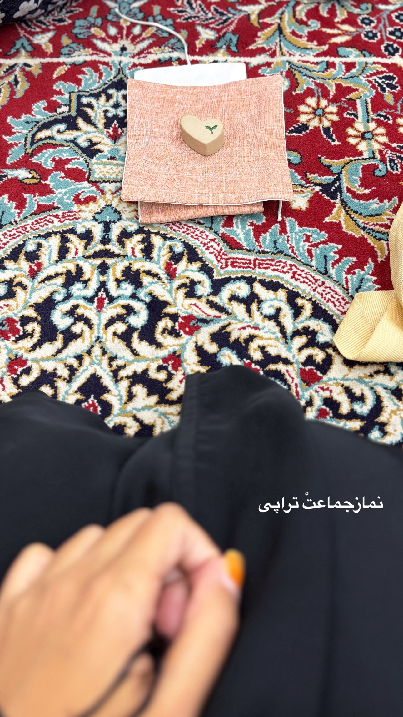  جدید ترین استوری اینستاگرام نيره سادات ميرخليلى