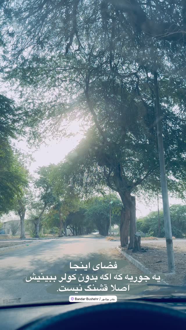  جدید ترین استوری اینستاگرام نيره سادات ميرخليلى