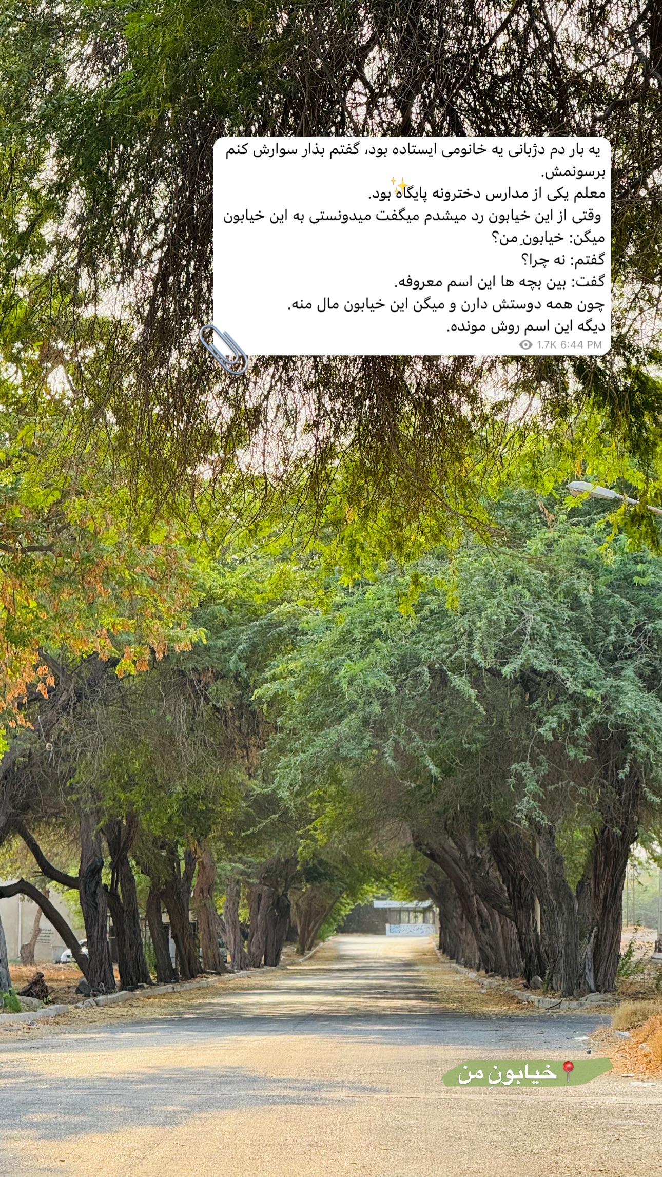  جدید ترین استوری اینستاگرام نيره سادات ميرخليلى