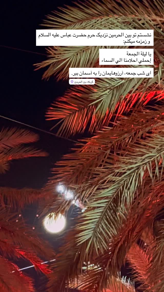  جدید ترین استوری اینستاگرام نيره سادات ميرخليلى