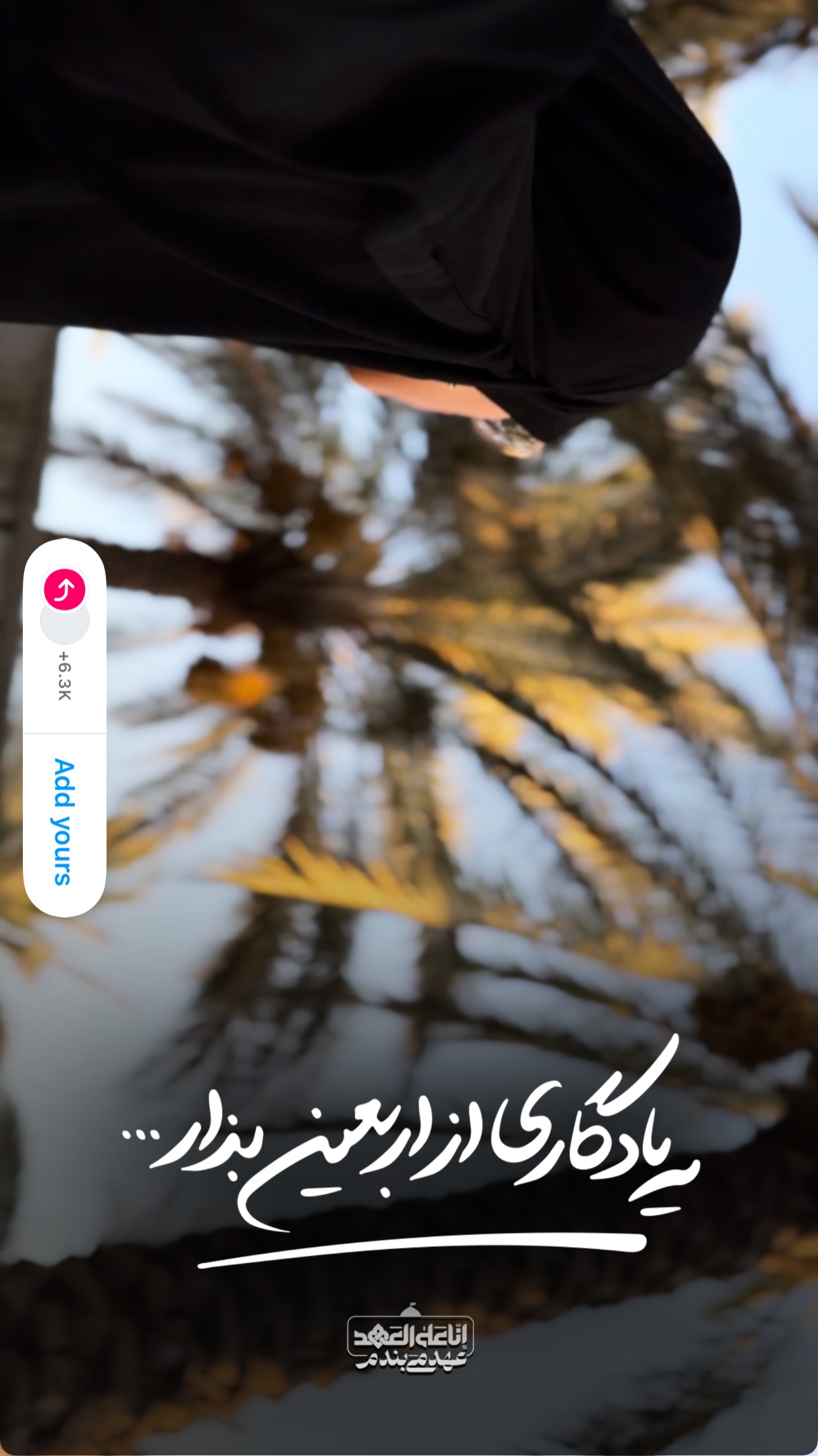  جدید ترین استوری اینستاگرام نيره سادات ميرخليلى