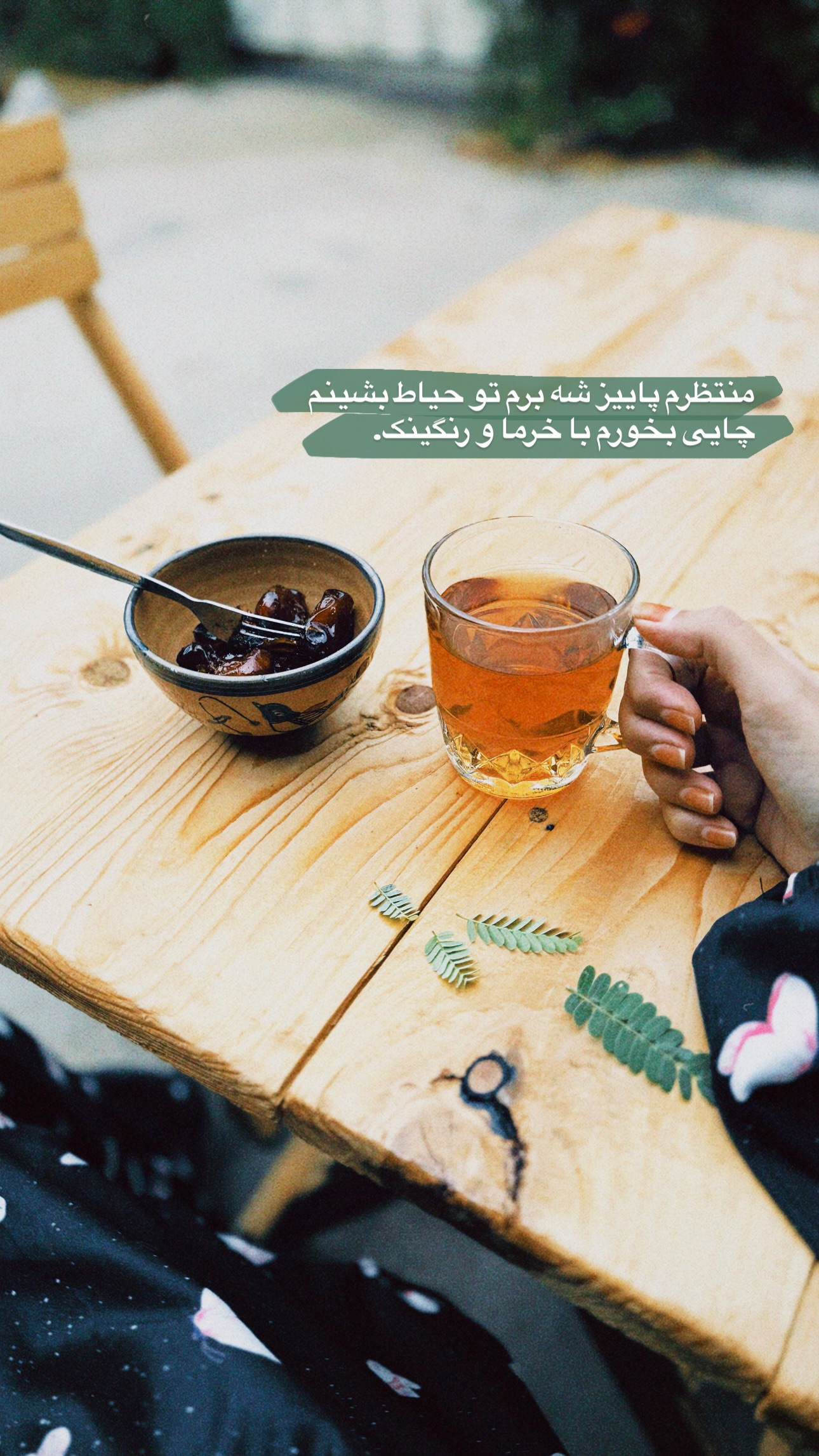  جدید ترین استوری اینستاگرام نيره سادات ميرخليلى