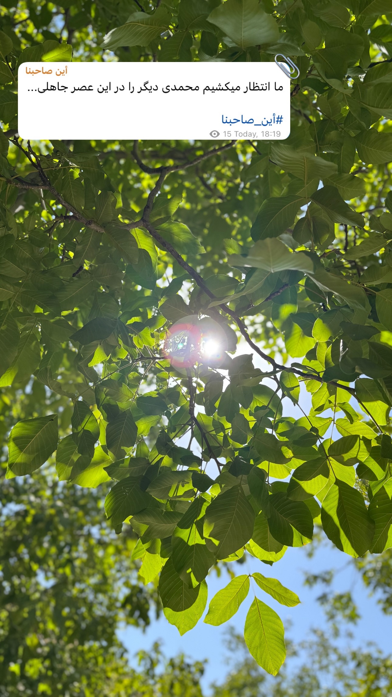  جدید ترین استوری اینستاگرام نيره سادات ميرخليلى