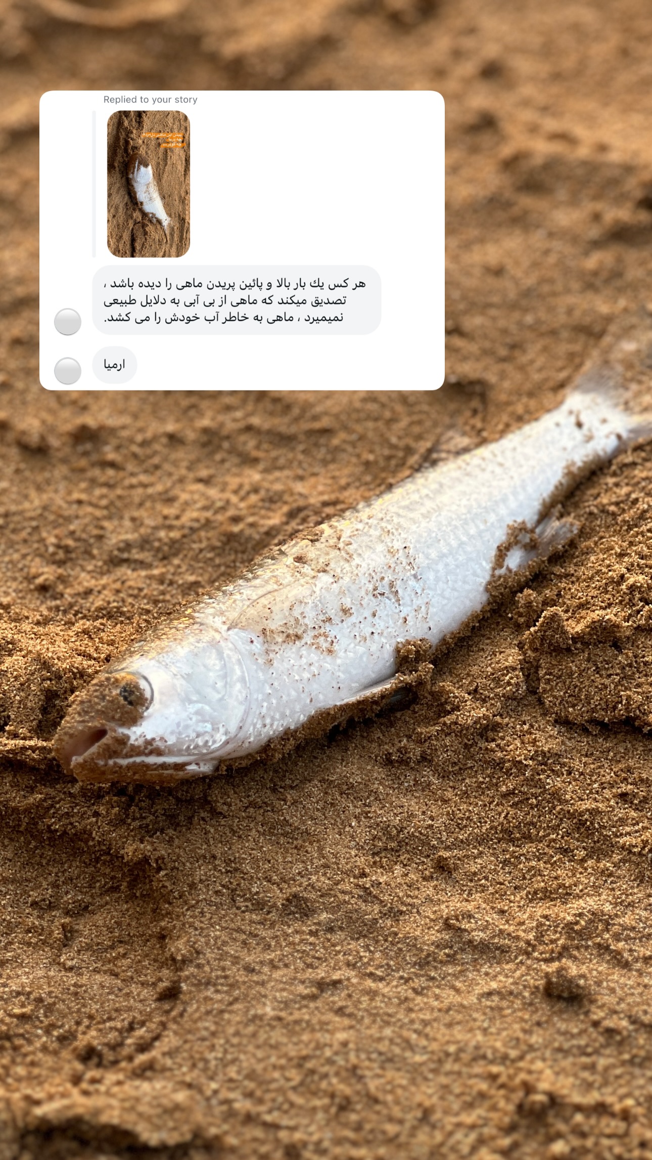  جدید ترین استوری اینستاگرام نيره سادات ميرخليلى